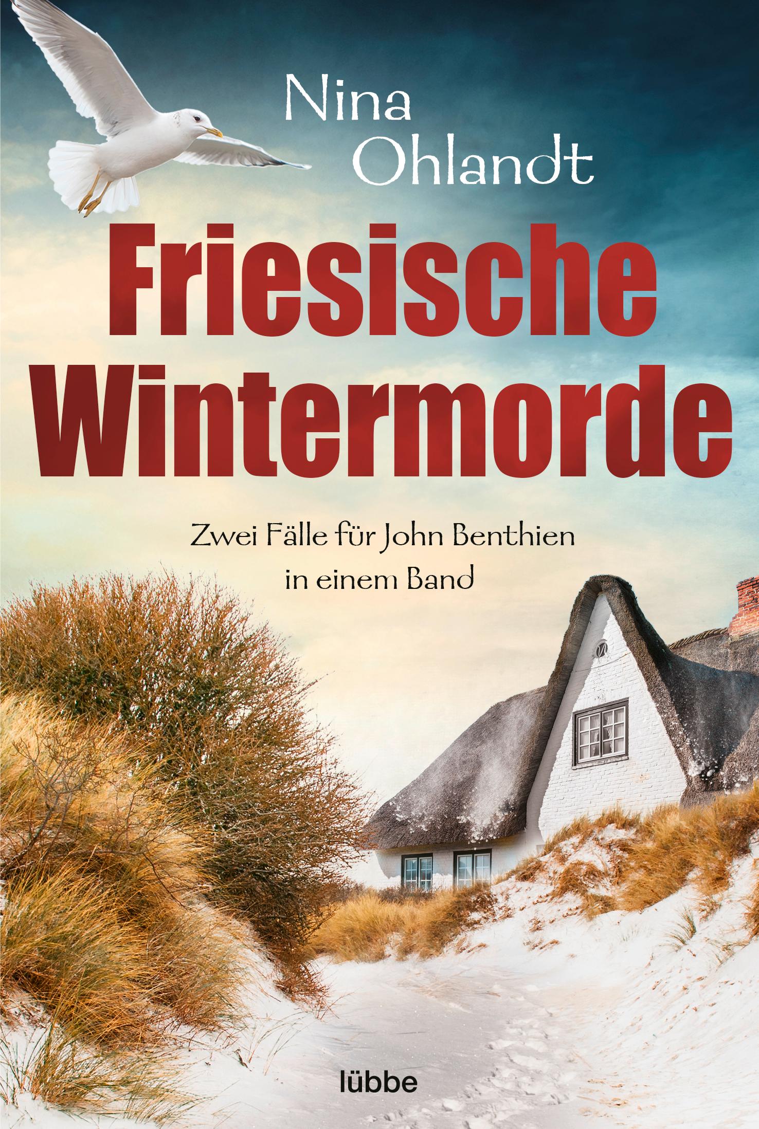 Vorderes Coverbild Friesische Wintermorde