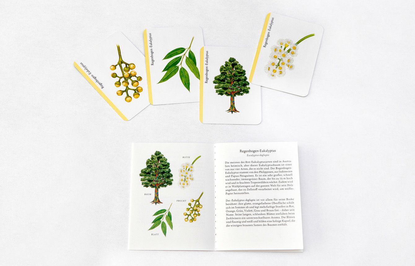 Beispielinhalt (Bild) Baum-Familien