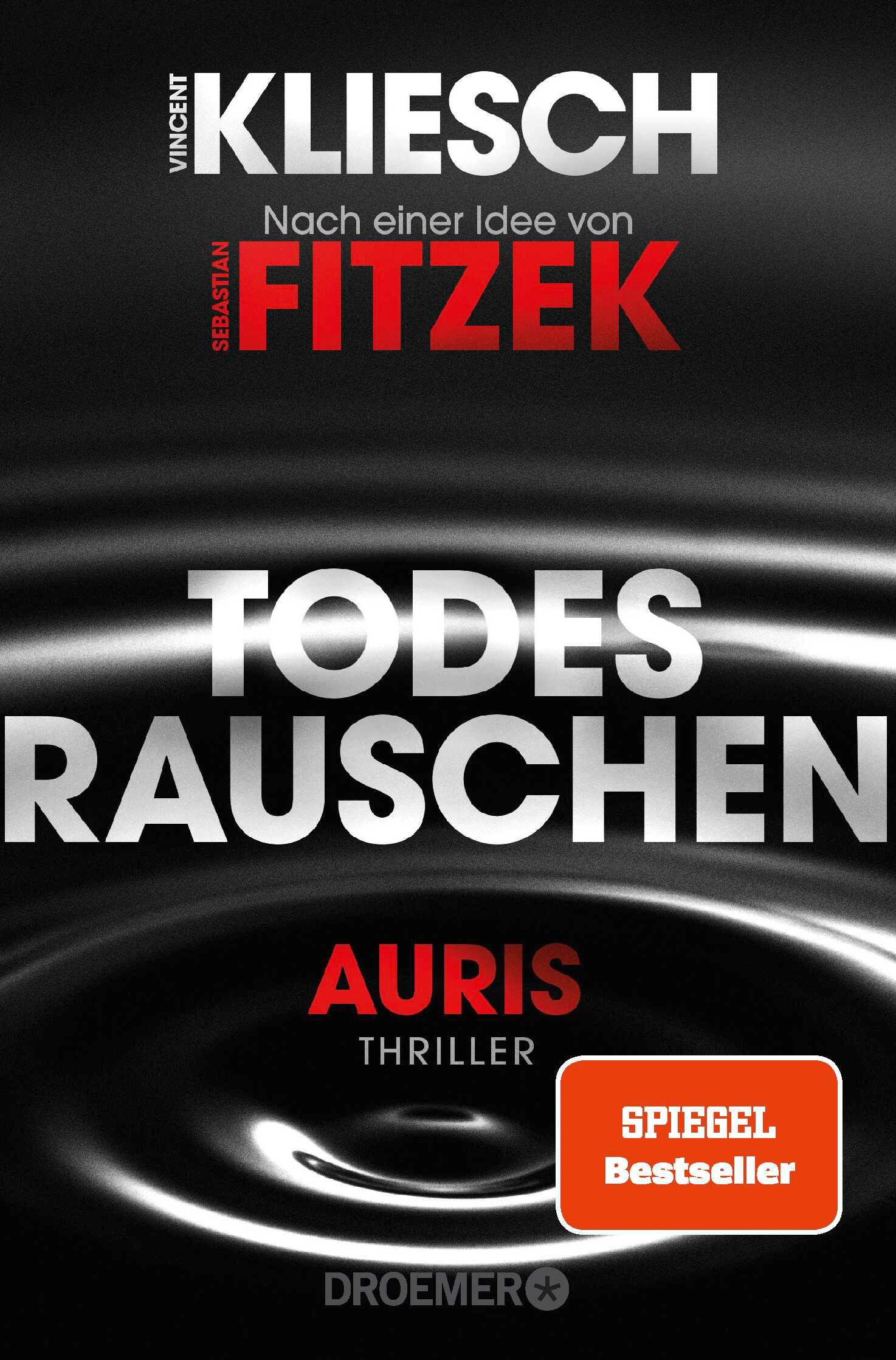 Vorderes Coverbild Todesrauschen