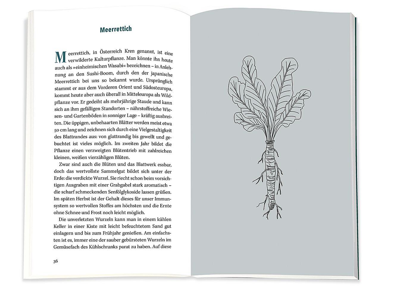 Beispielinhalt (Bild) Immunbooster Natur