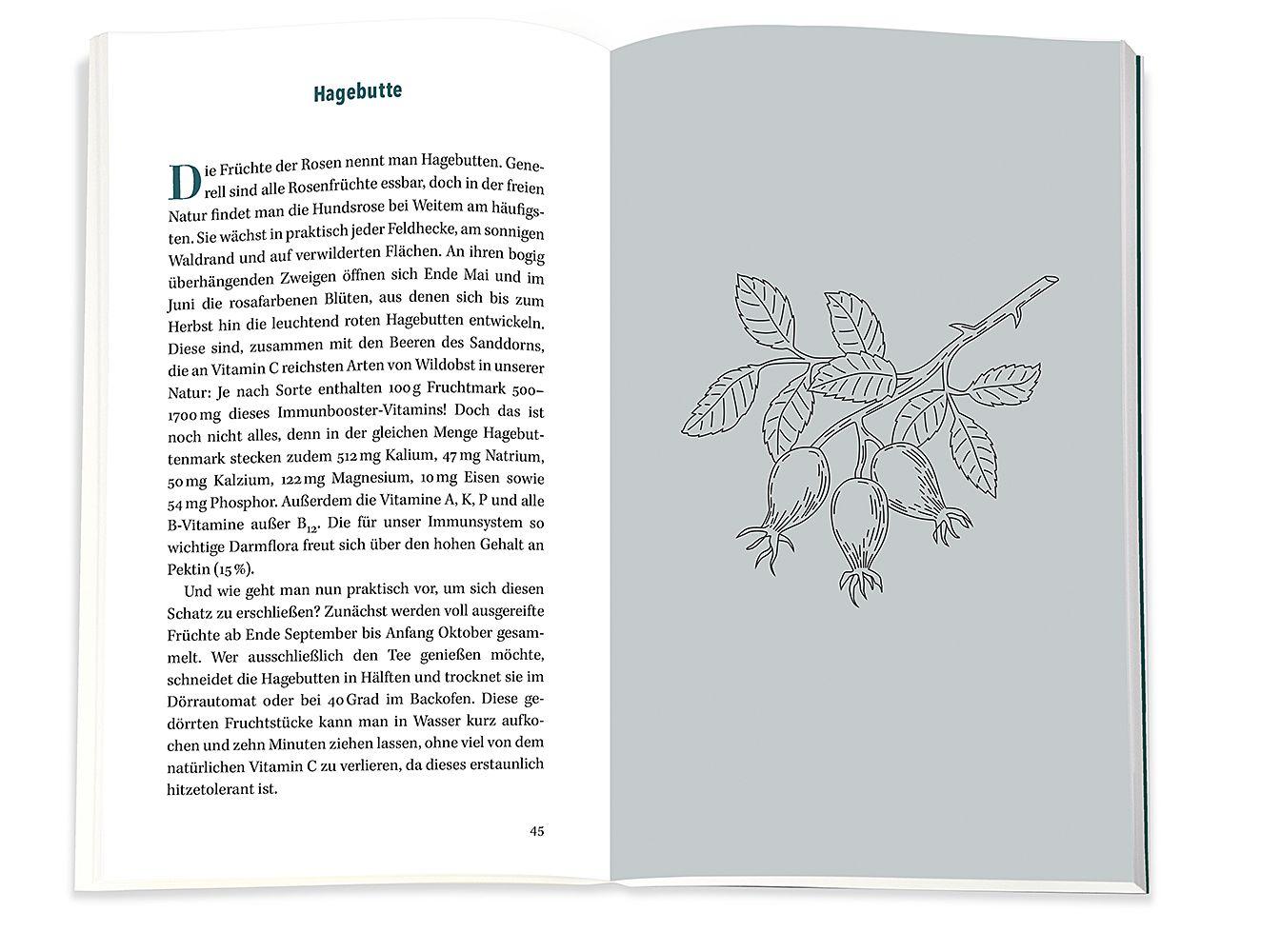 Beispielinhalt (Bild) Immunbooster Natur