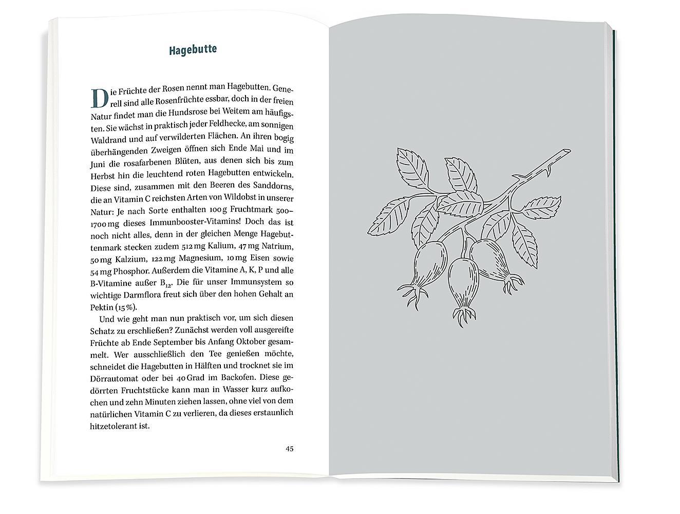 Beispielinhalt (Bild) Immunbooster Natur