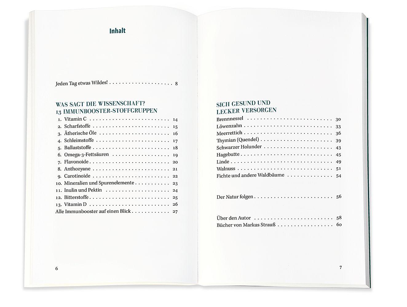 Beispielinhalt (Bild) Immunbooster Natur
