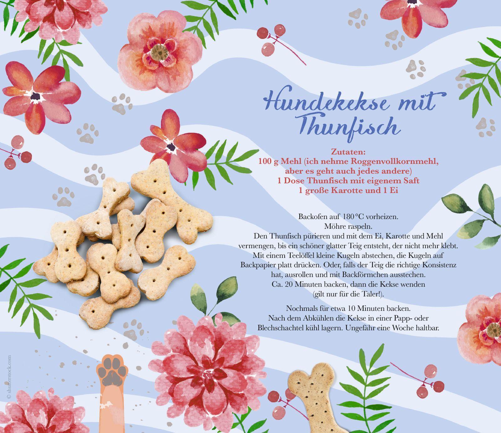 Beispielinhalt (Bild) Sommerlese