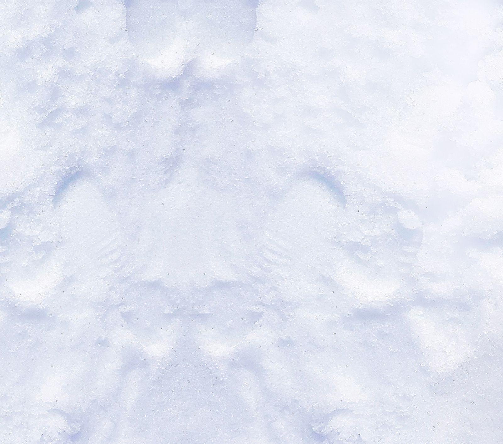 Beispielinhalt (Bild) Winter des Wahnsinns