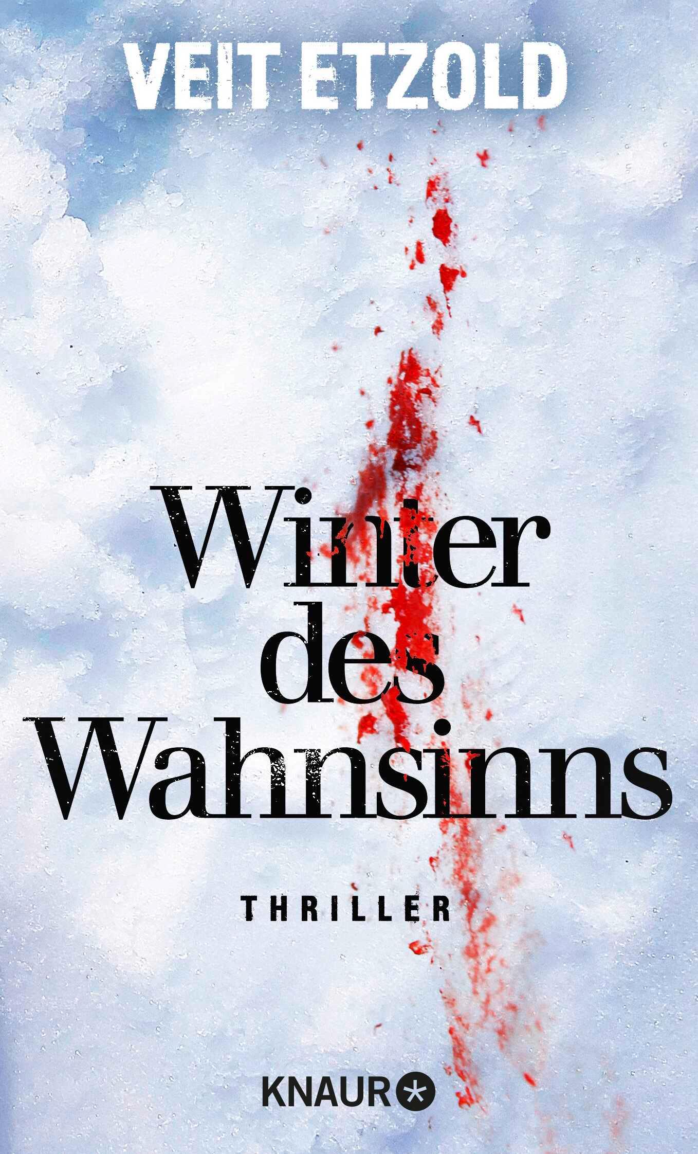 Vorderes Coverbild Winter des Wahnsinns