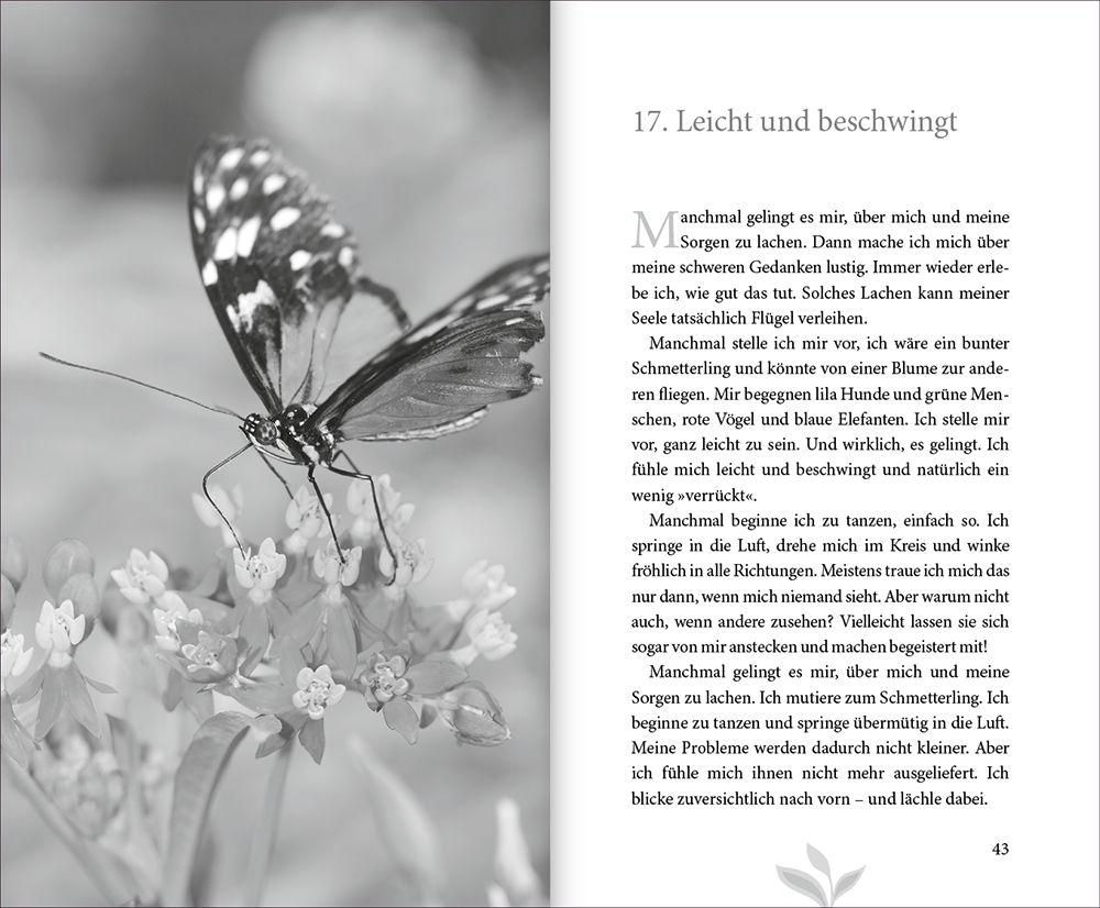 Beispielinhalt (Bild) 77 mal Zuversicht