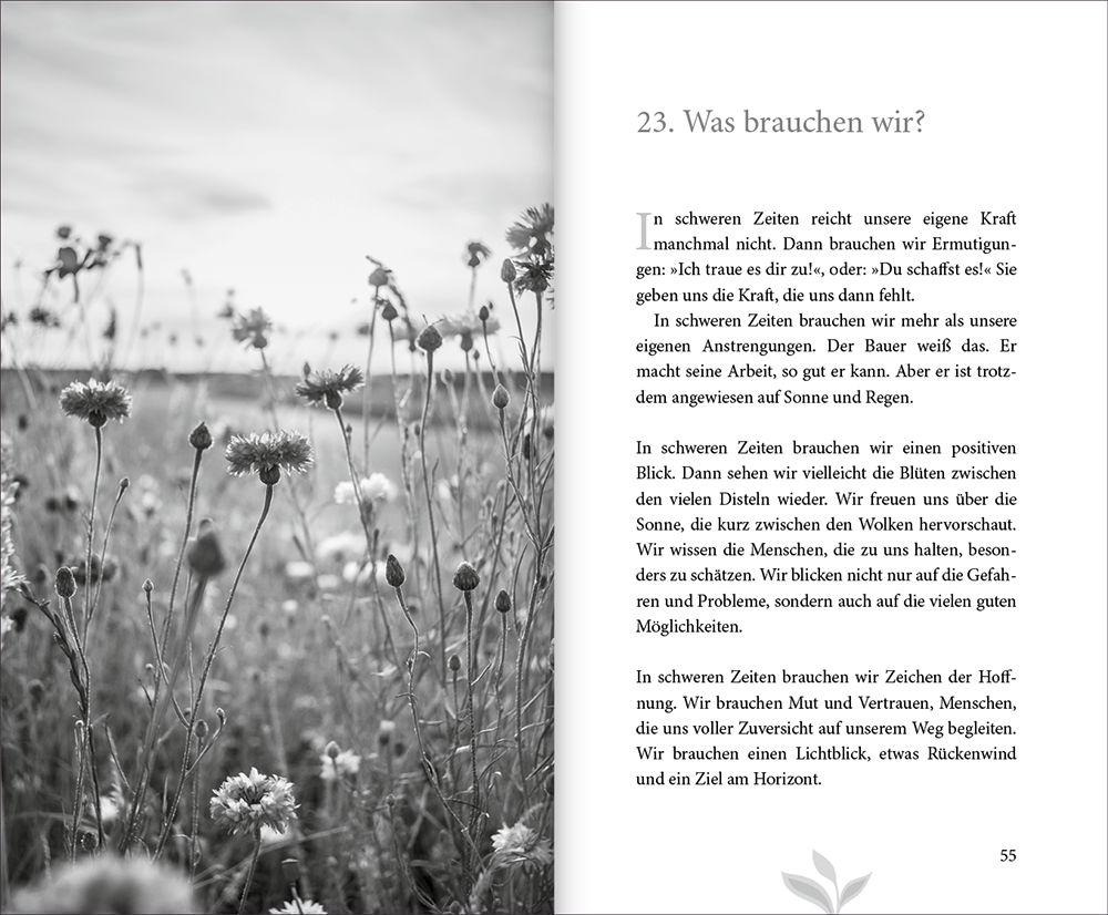 Beispielinhalt (Bild) 77 mal Zuversicht