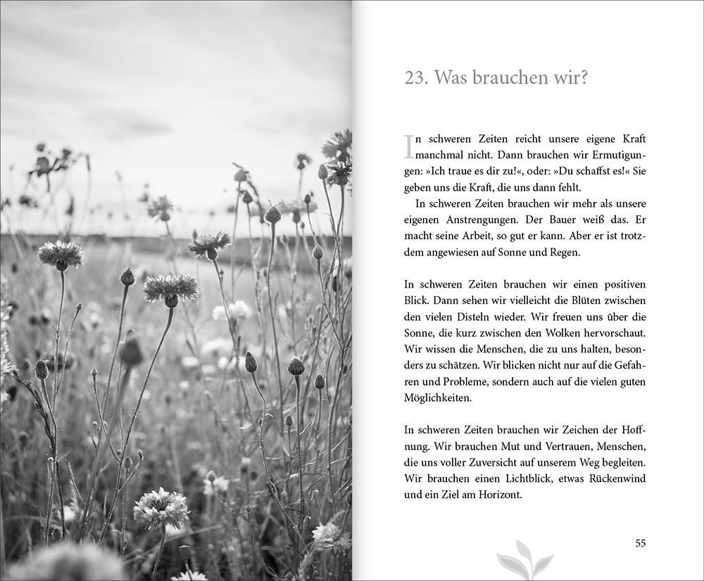 Beispielinhalt (Bild) 77 mal Zuversicht