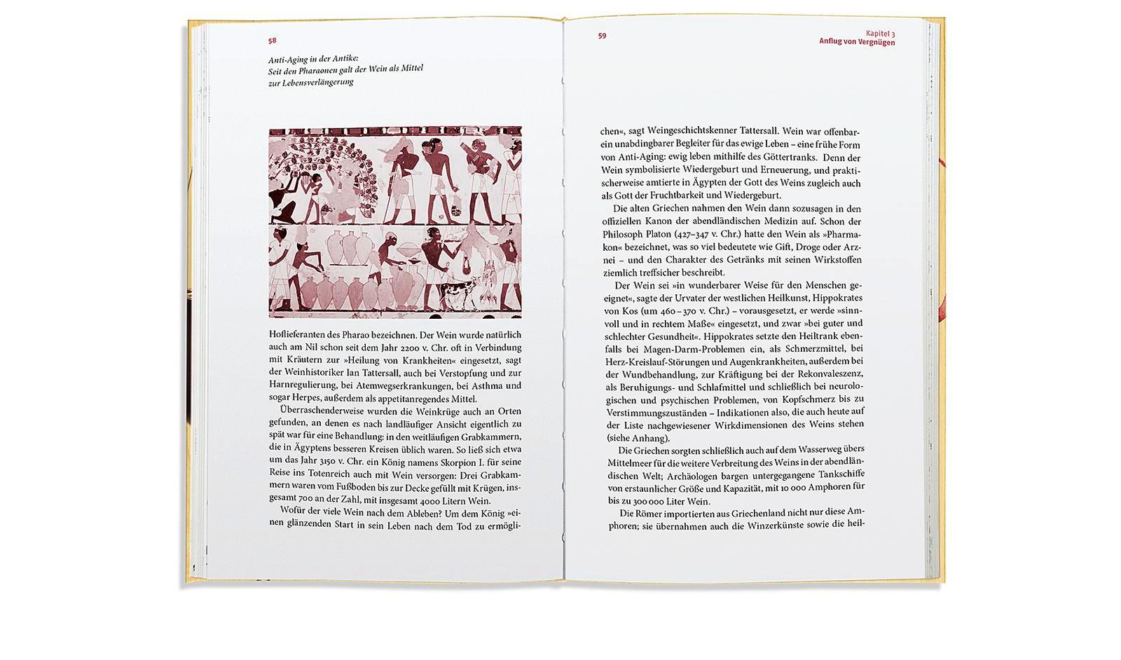 Beispielinhalt (Bild) Wein ist gesund