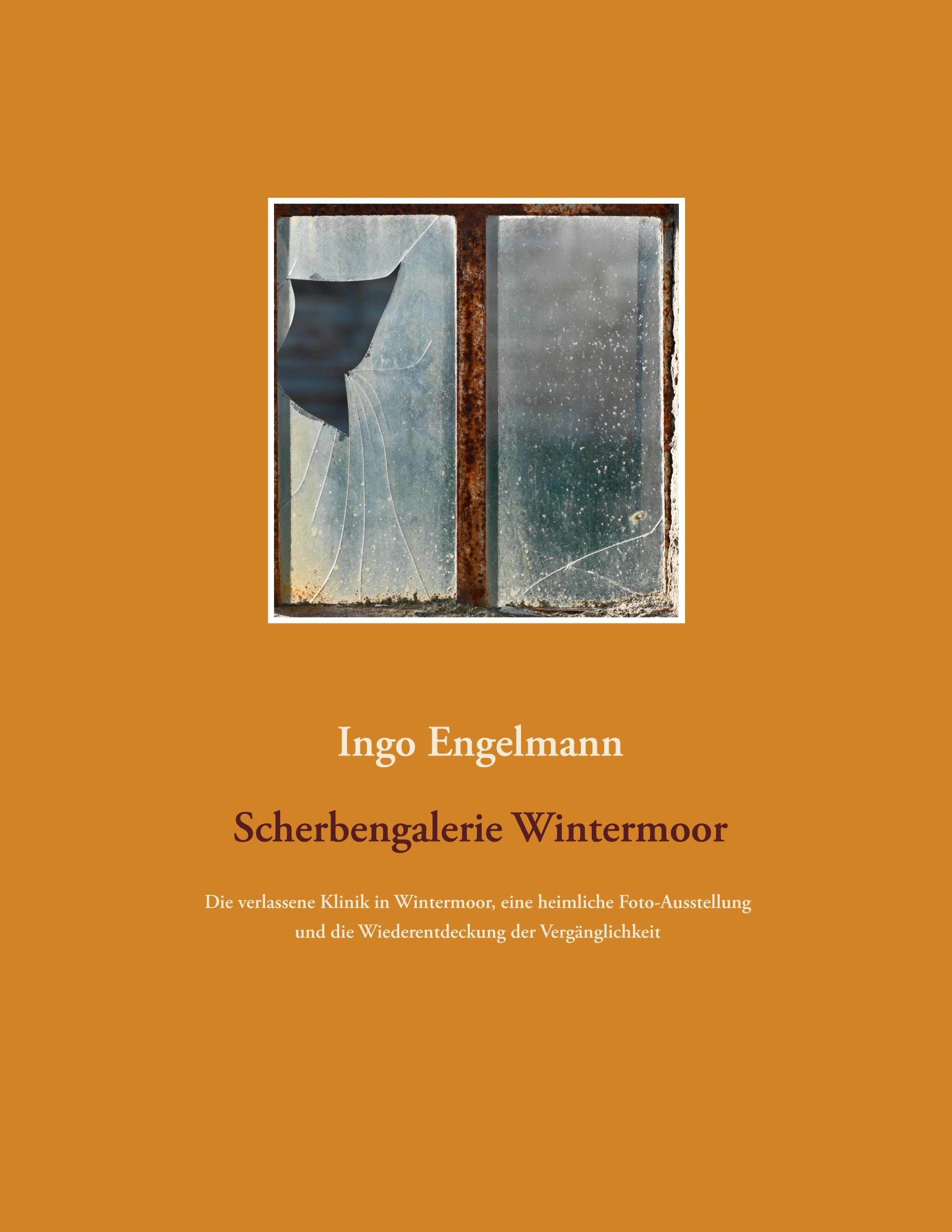 Vorderes Coverbild Scherbengalerie Wintermoor