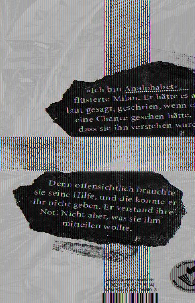 Rückseitencover Das Geschenk