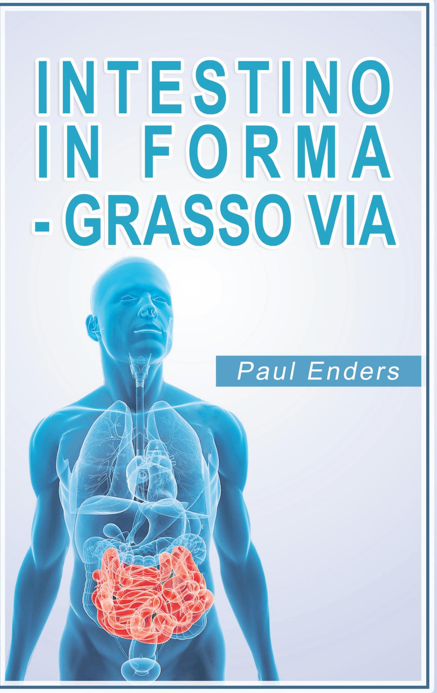 Vorderes Coverbild Intestino in forma - grasso via