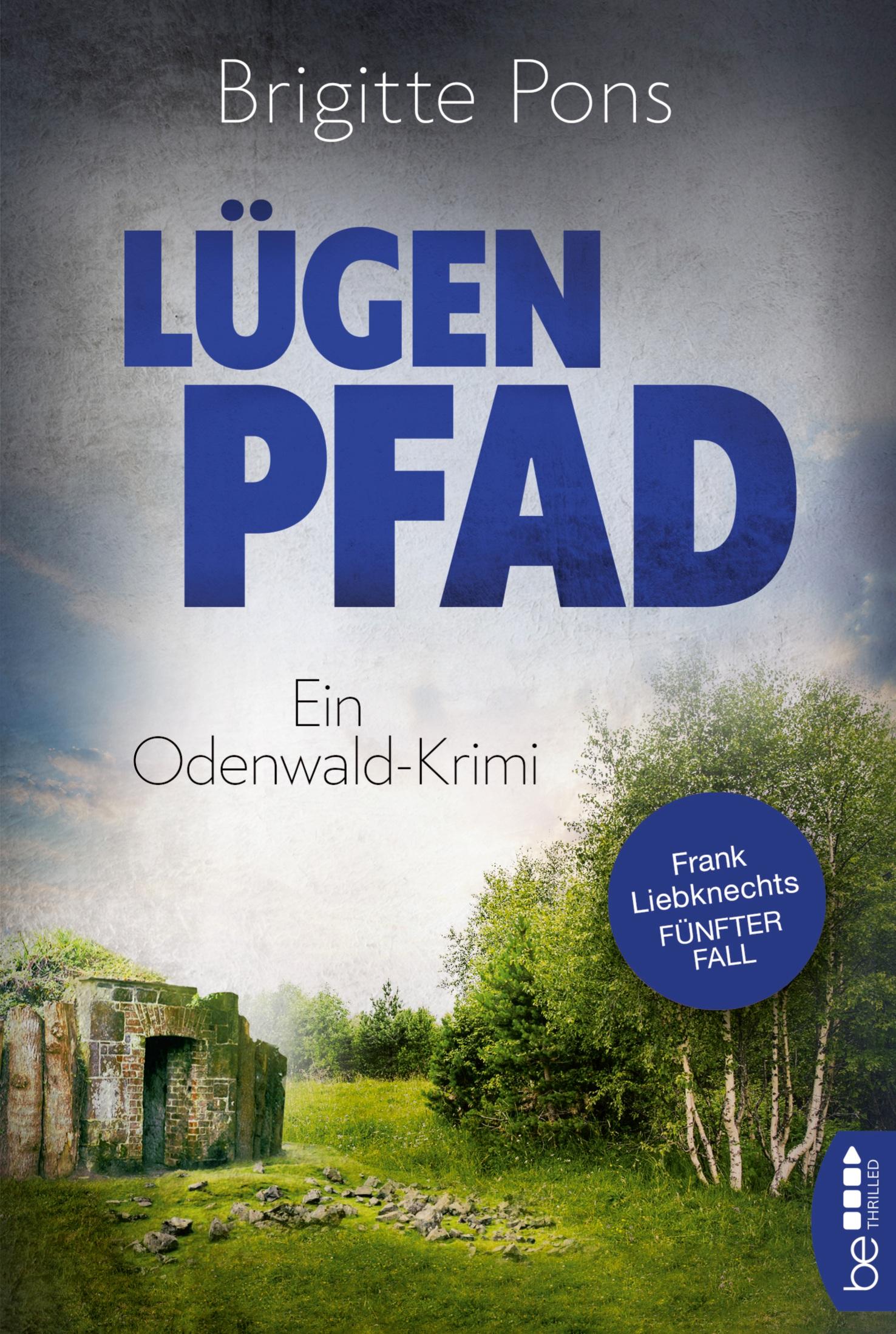 Vorderes Coverbild Lügenpfad