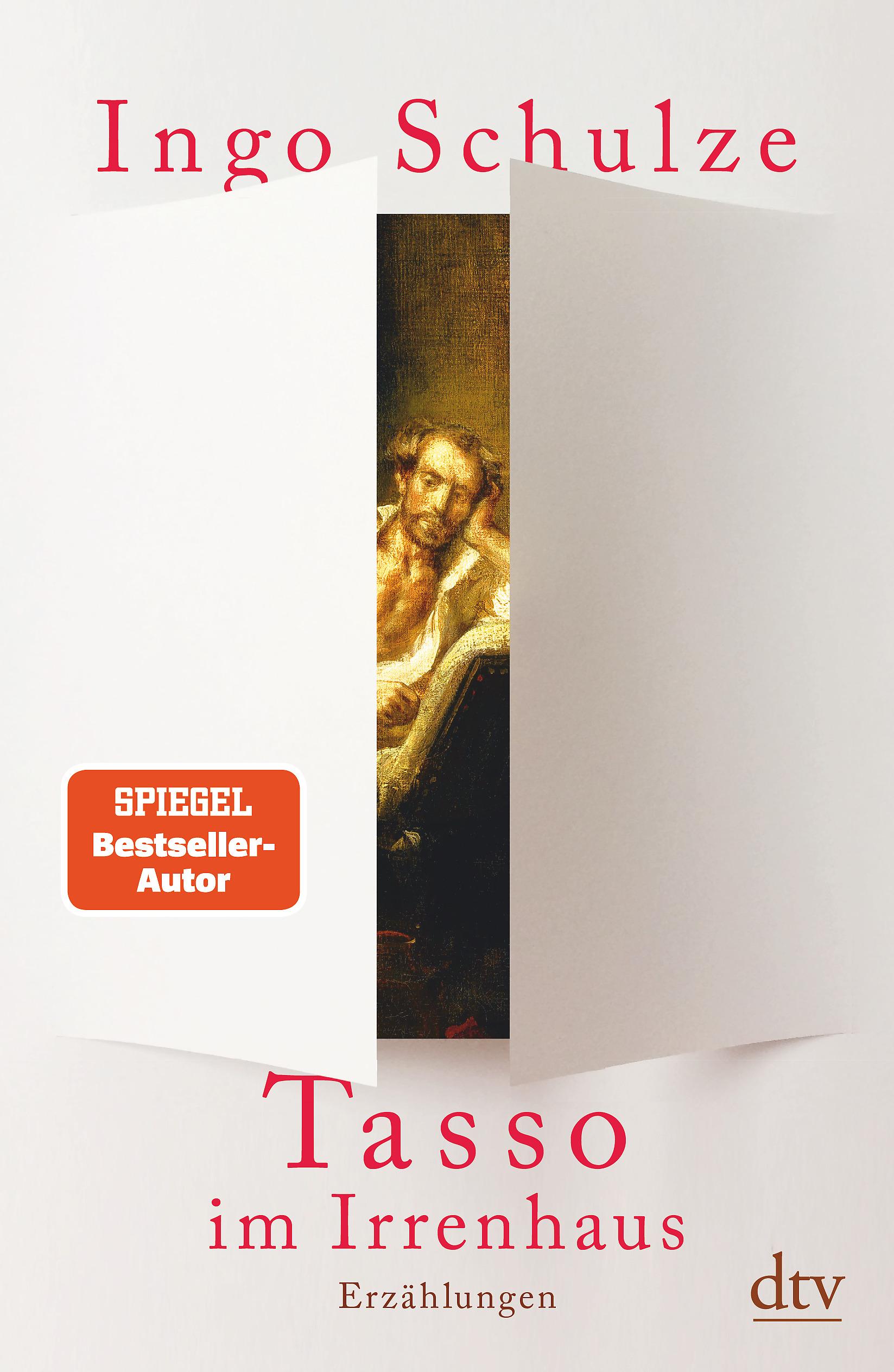 Vorderes Coverbild Tasso im Irrenhaus