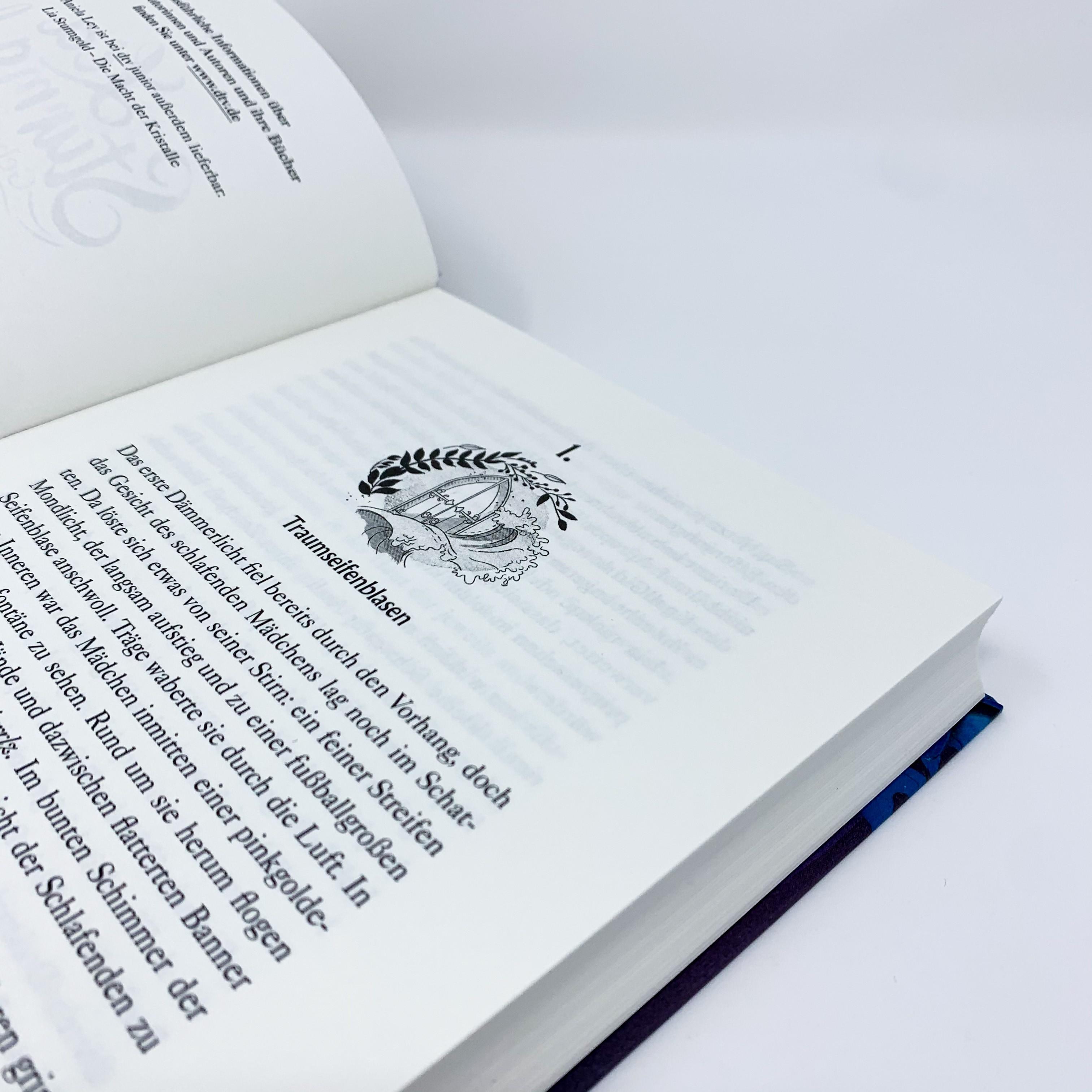 Beispielinhalt (Bild) Lia Sturmgold - Das Geheimnis der Meereselfe