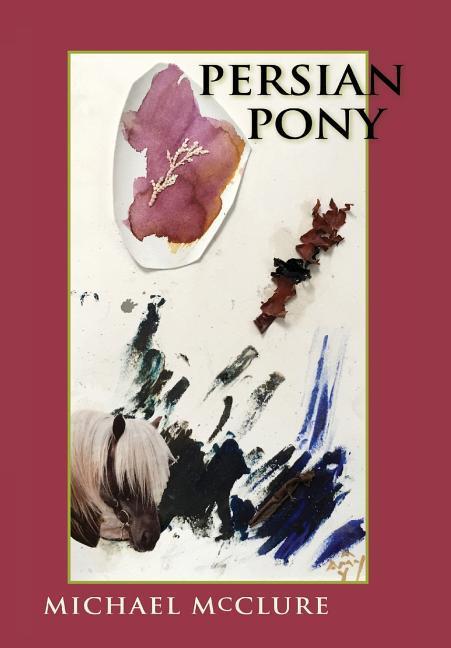 Vorderes Coverbild Persian Pony