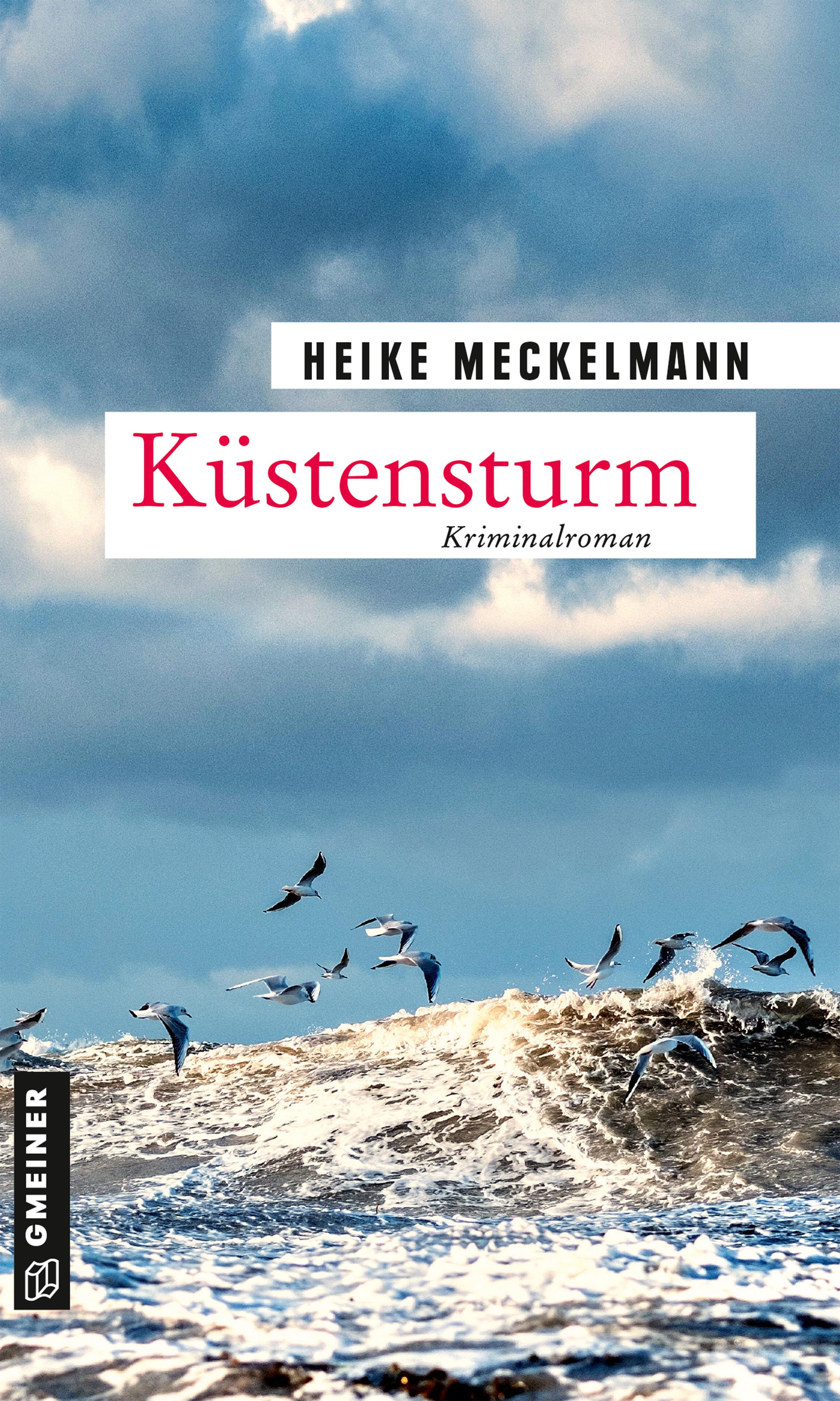 Vorderes Coverbild Küstensturm