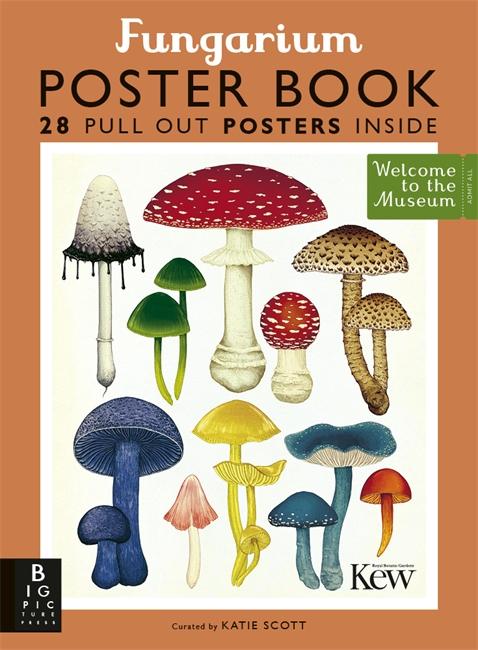 Vorderes Coverbild Fungarium Poster Book