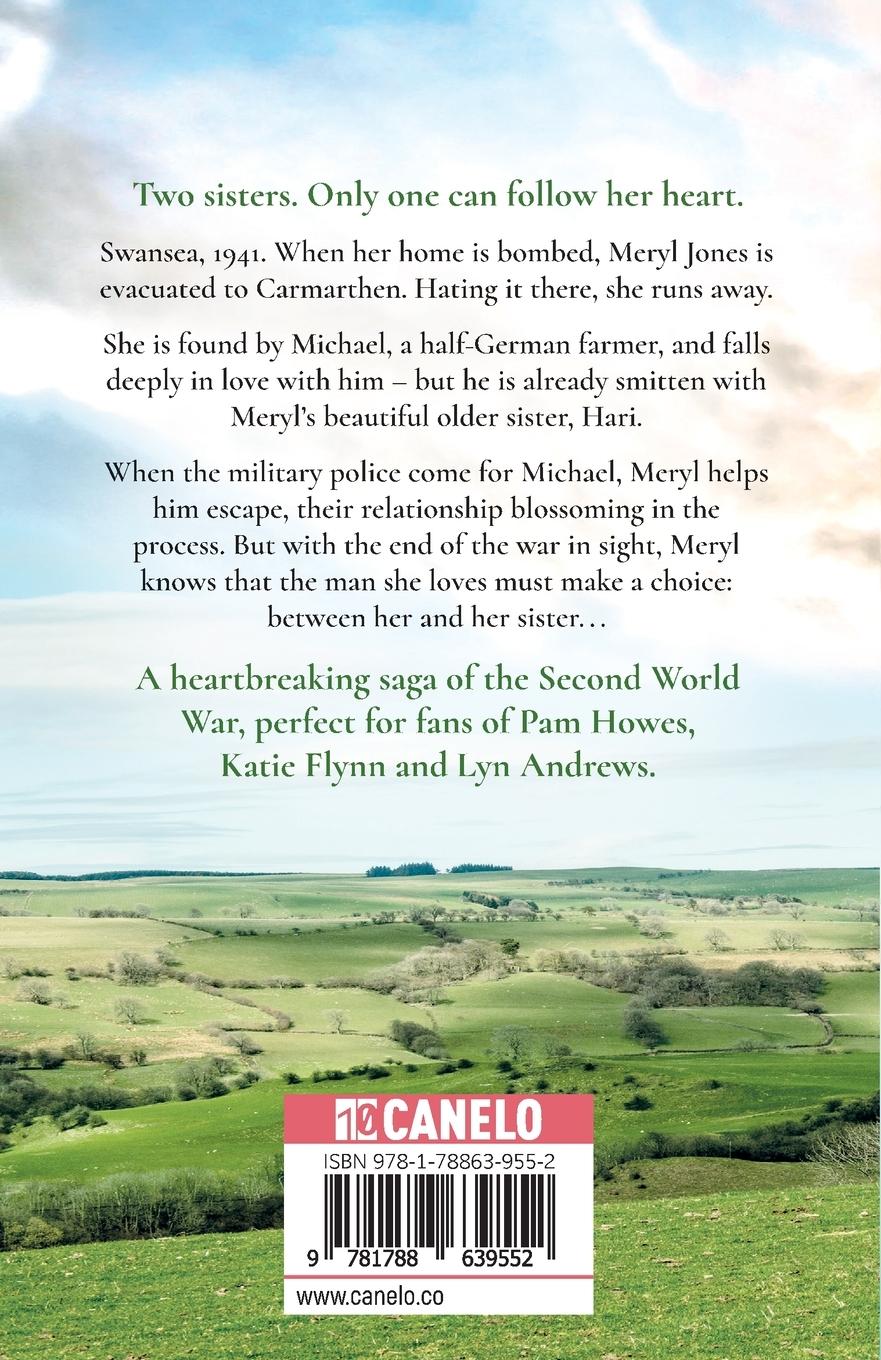 Rückseitencover Bomber's Moon