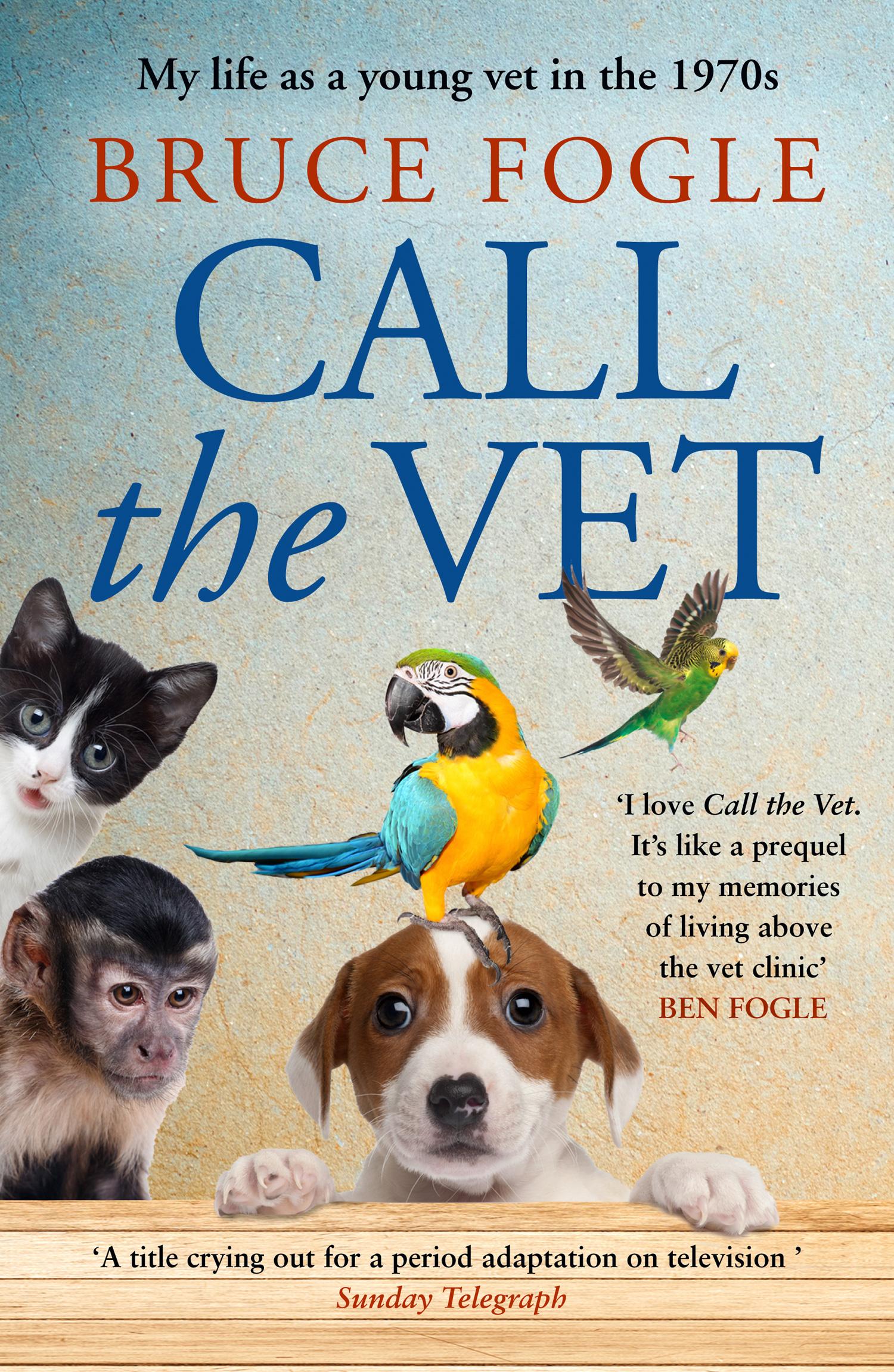 Vorderes Coverbild Call the Vet