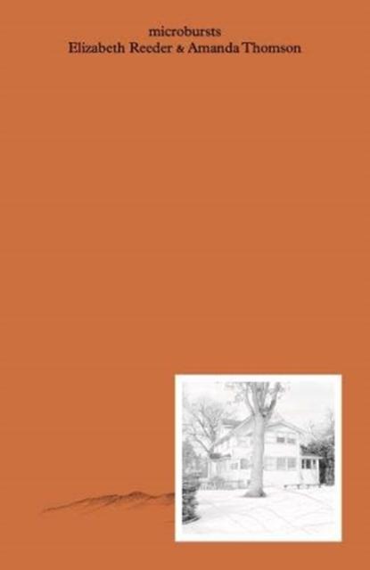 Vorderes Coverbild Microbursts