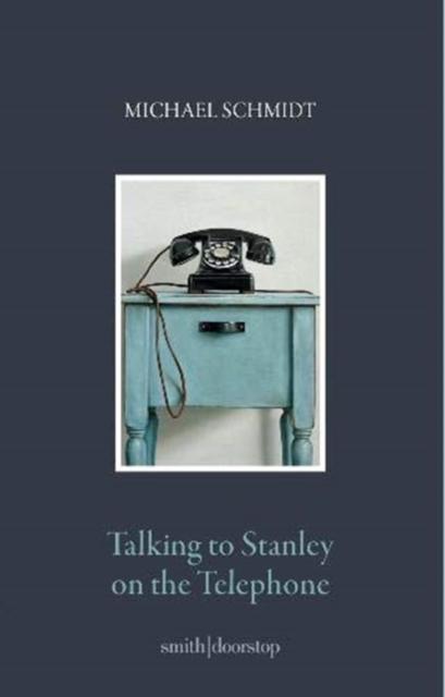 Vorderes Coverbild Talking to Stanley on the Telephone