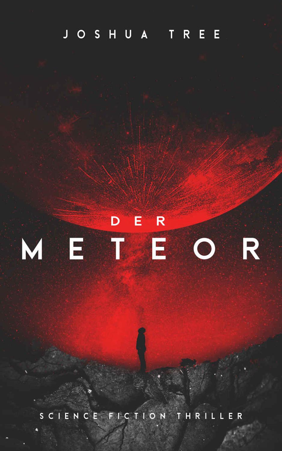 Vorderes Coverbild Der Meteor