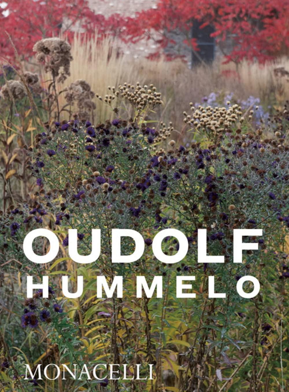 Vorderes Coverbild Hummelo
