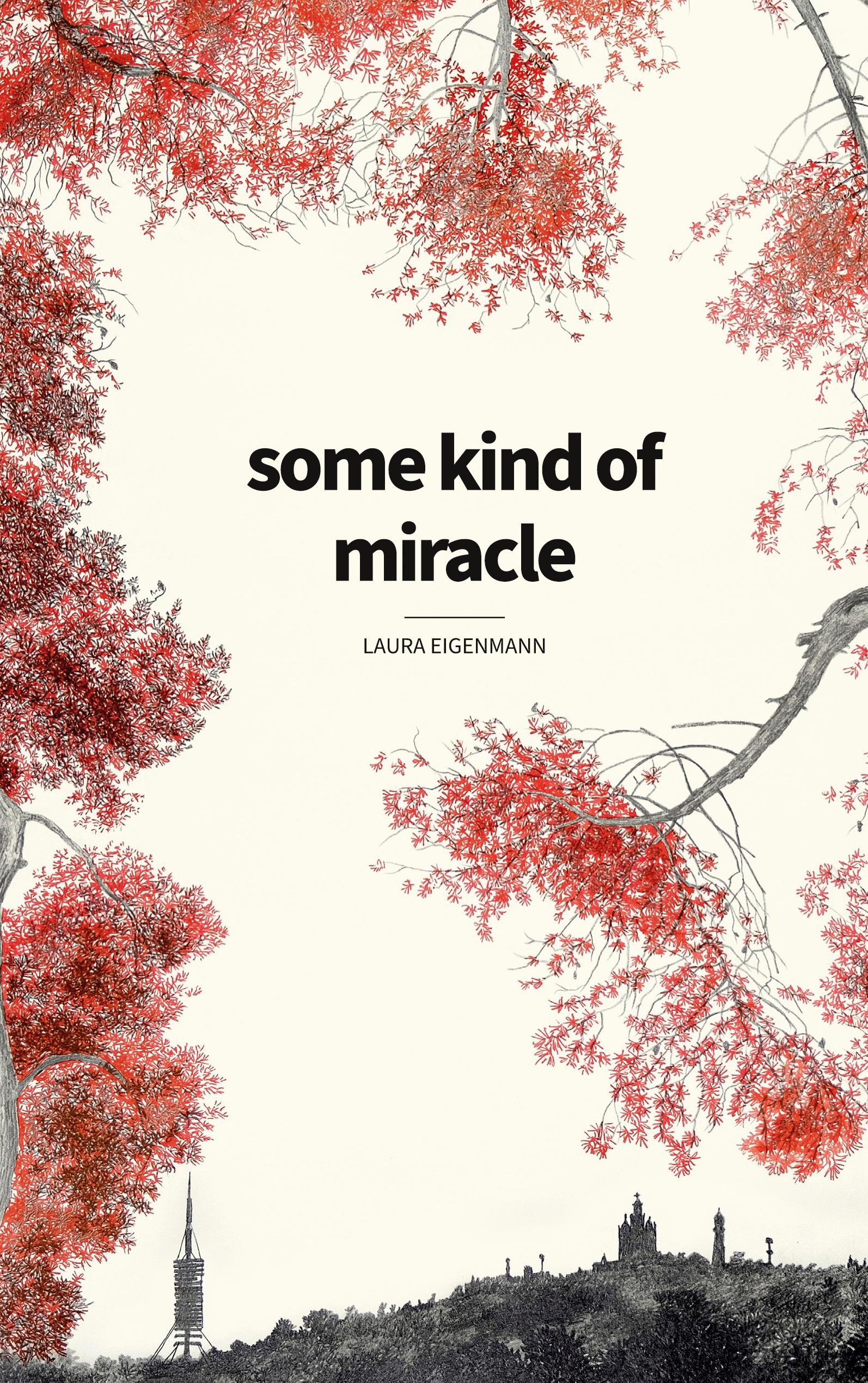 Vorderes Coverbild some kind of miracle
