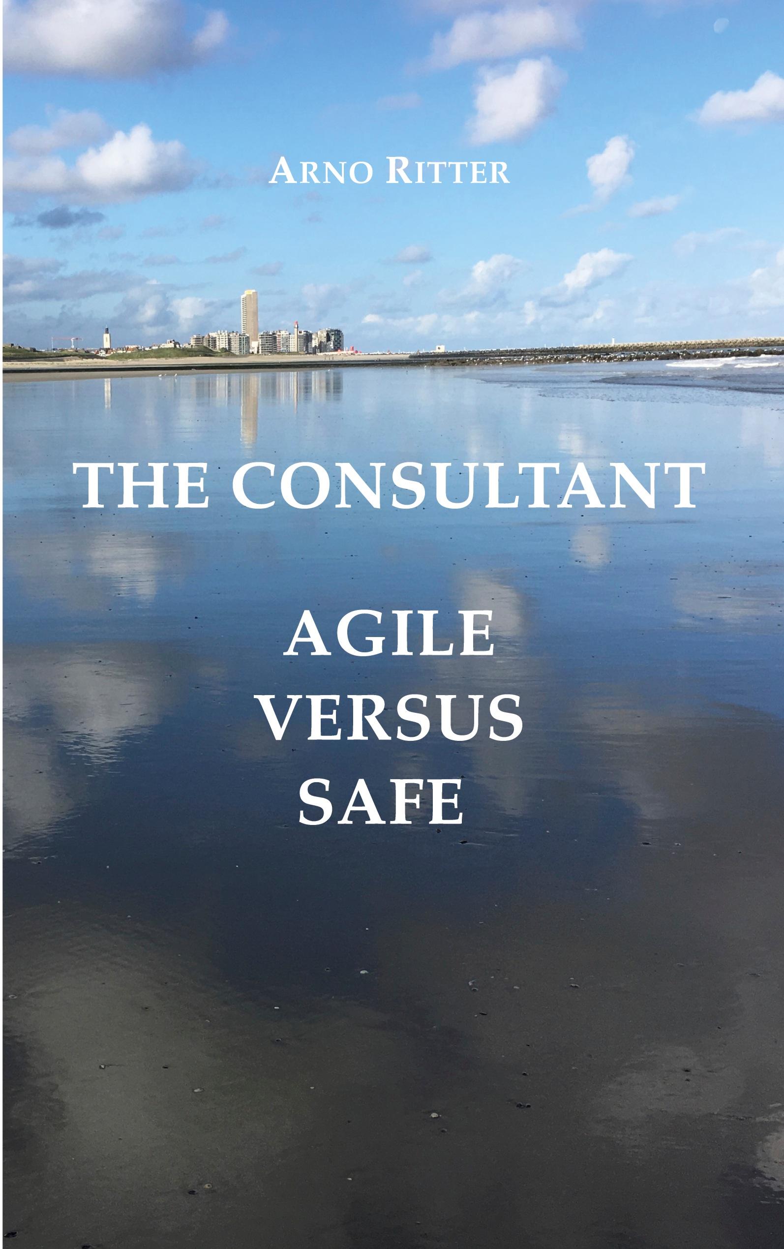 Vorderes Coverbild The Consultant