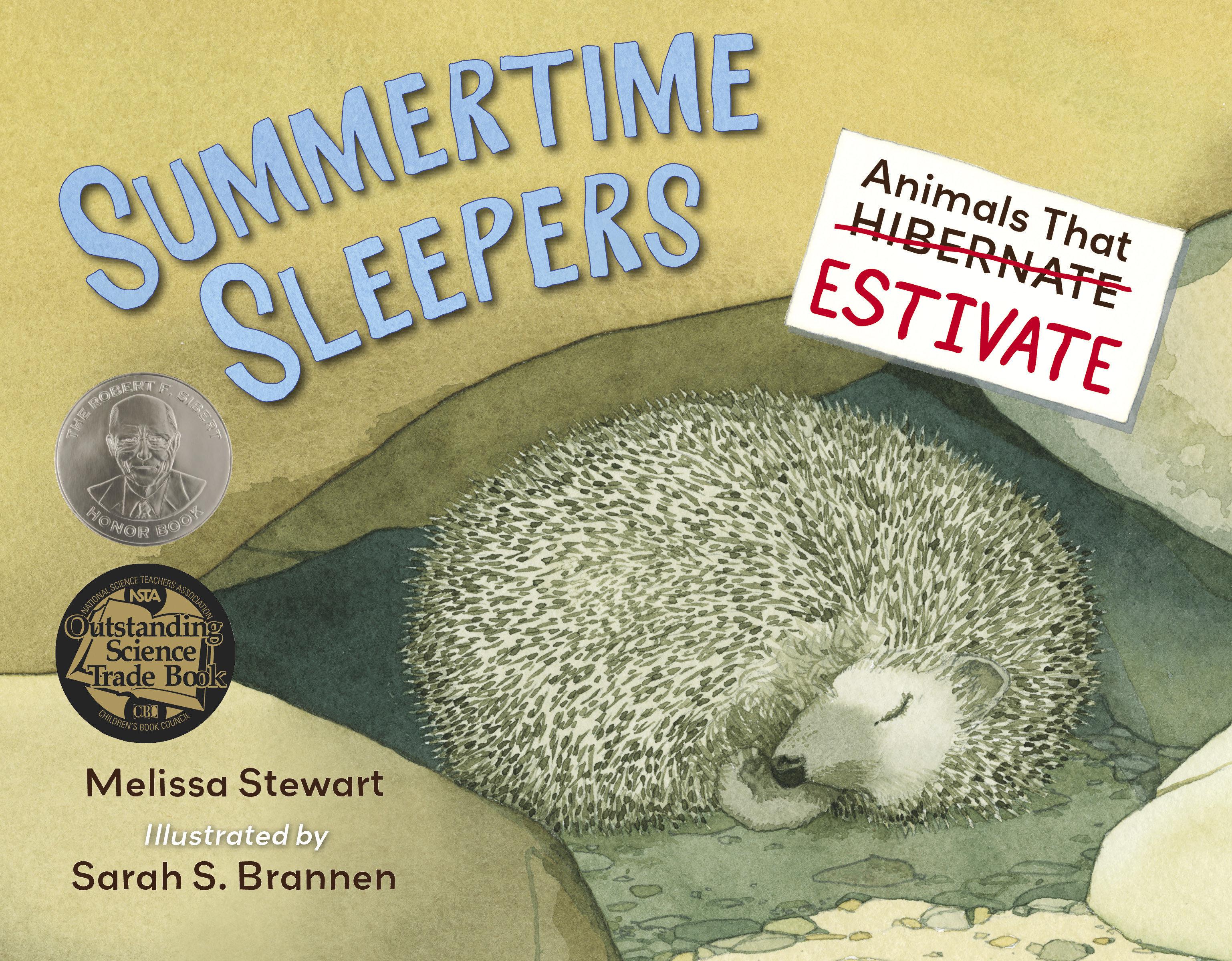 Vorderes Coverbild Summertime Sleepers