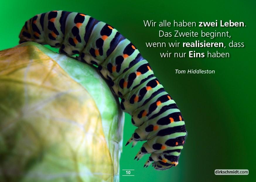 Beispielinhalt (Bild) MUTivationsbox 2 - 101 Zitate auf Designerpostkarten