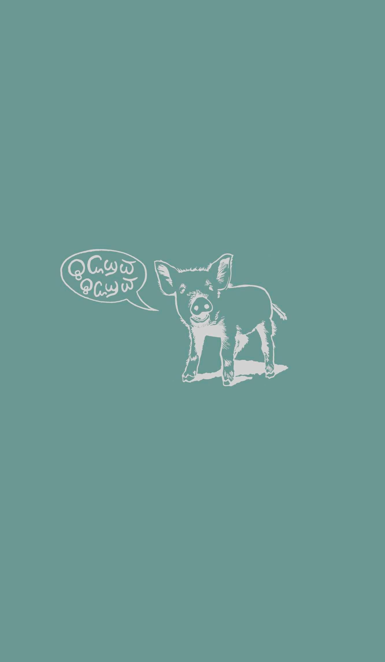 Rückseitencover Durch den wilden Kaukasus