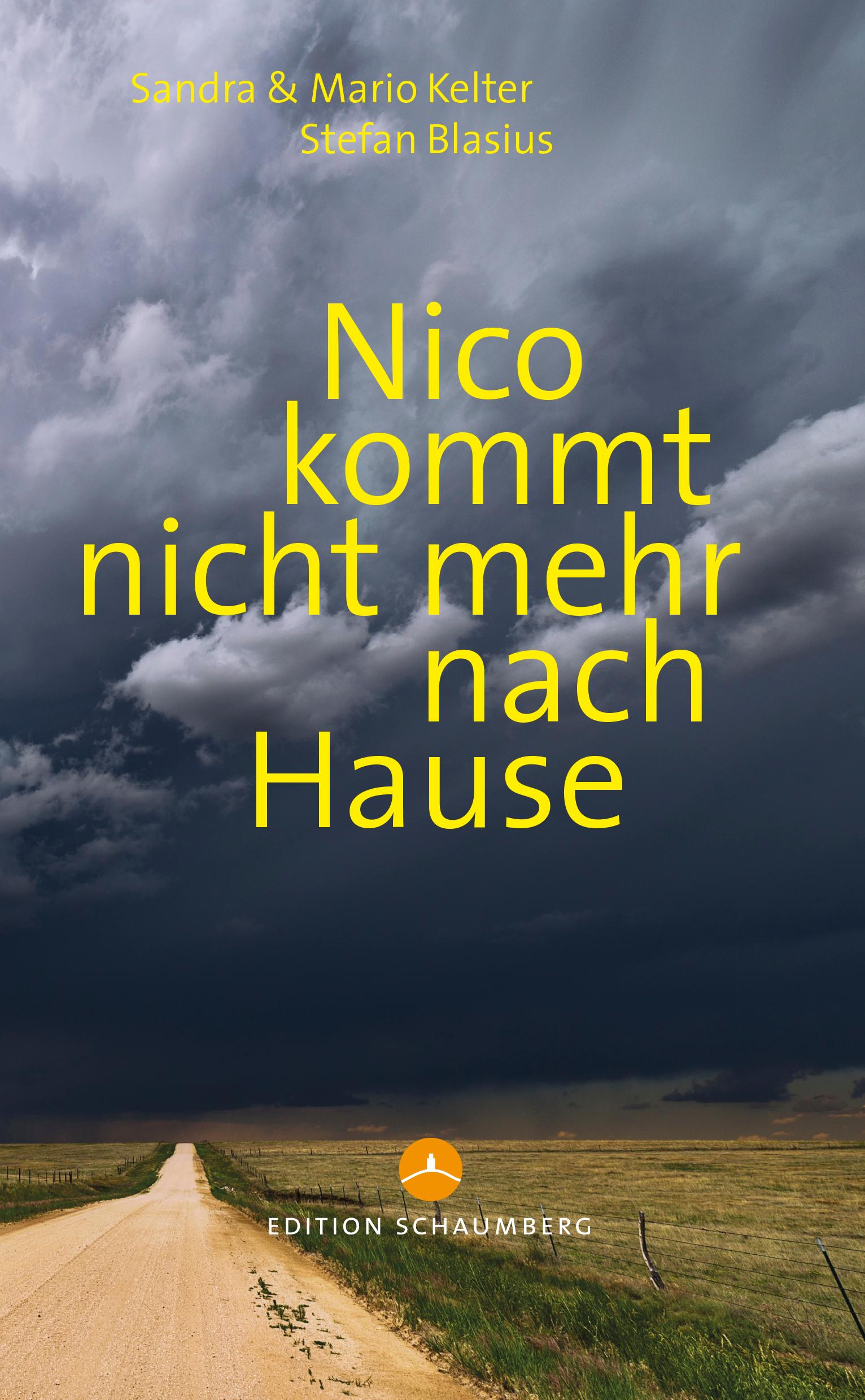 Vorderes Coverbild Nico kommt nicht mehr nach Hause