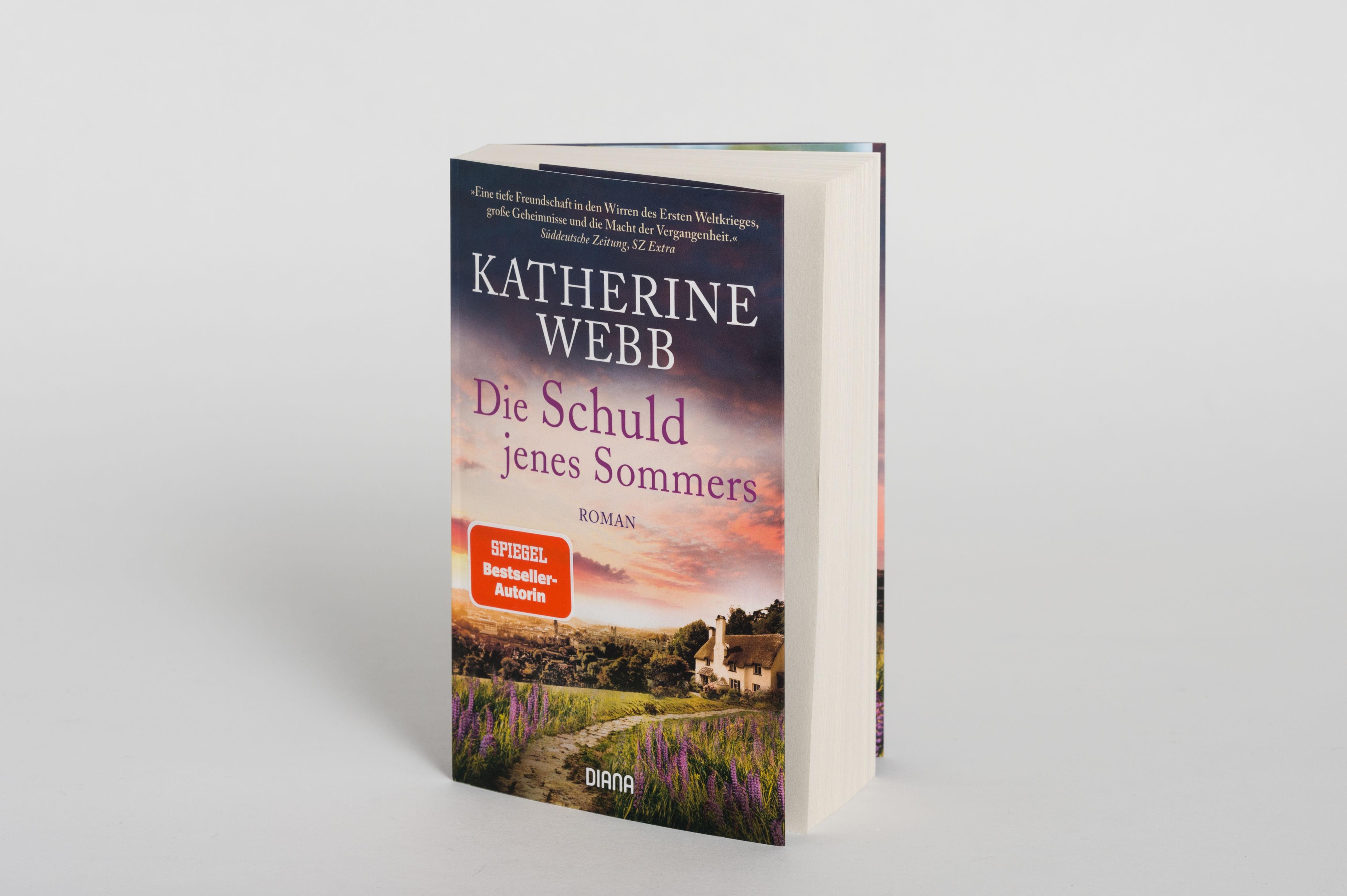Beispielinhalt (Bild) Die Schuld jenes Sommers