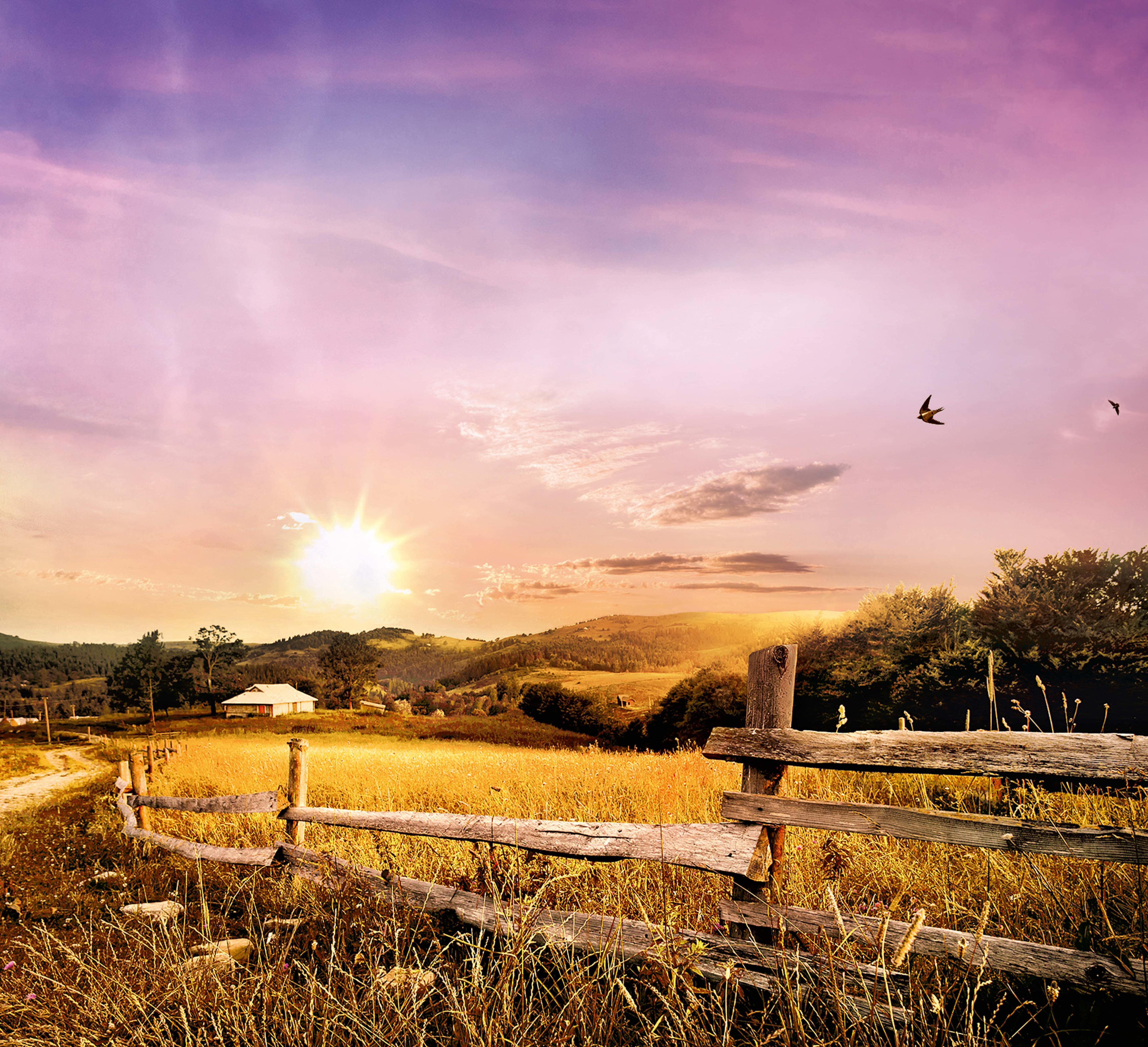 Beispielinhalt (Bild) Lockruf der Gefahr