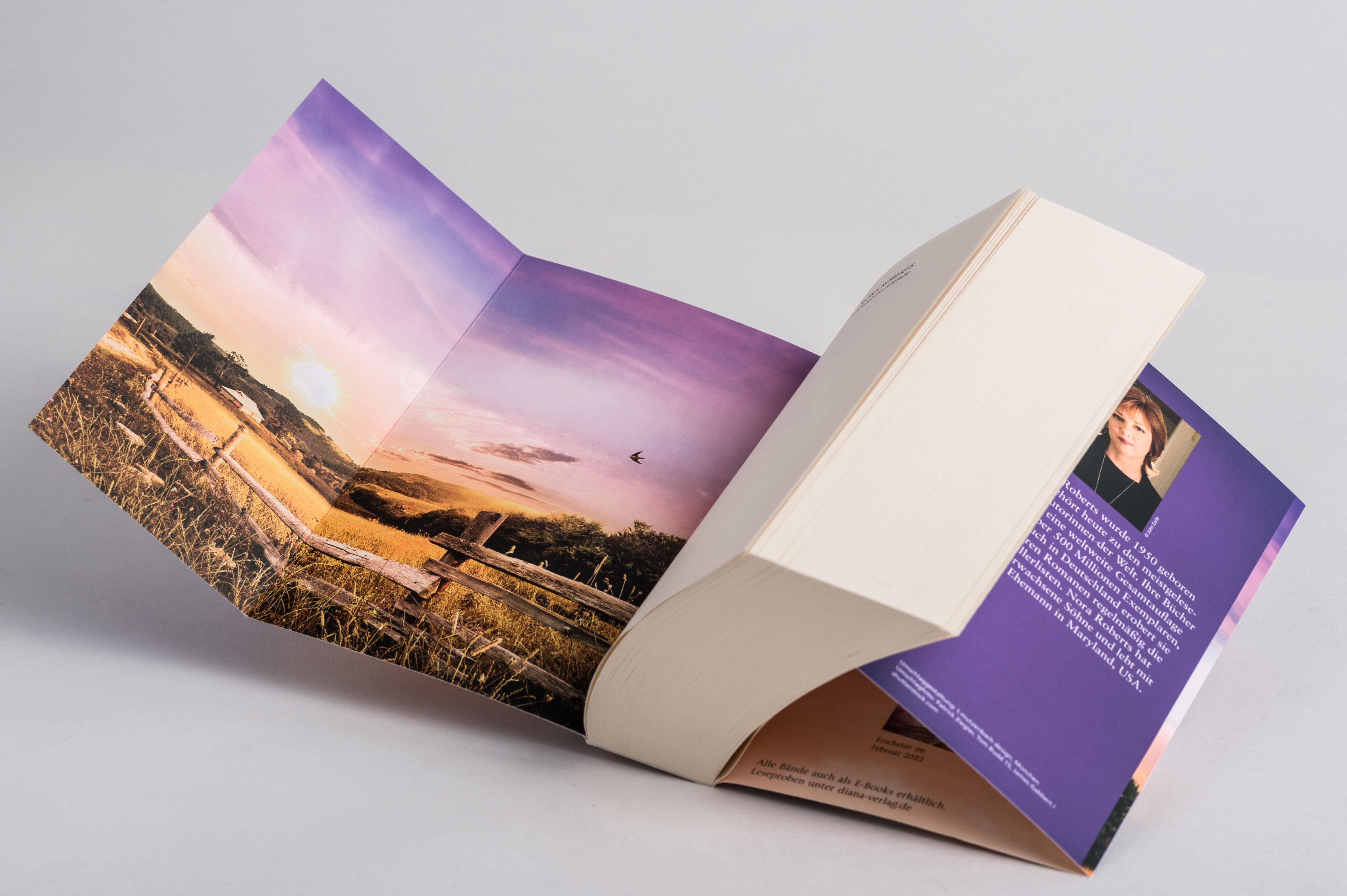 Beispielinhalt (Bild) Lockruf der Gefahr