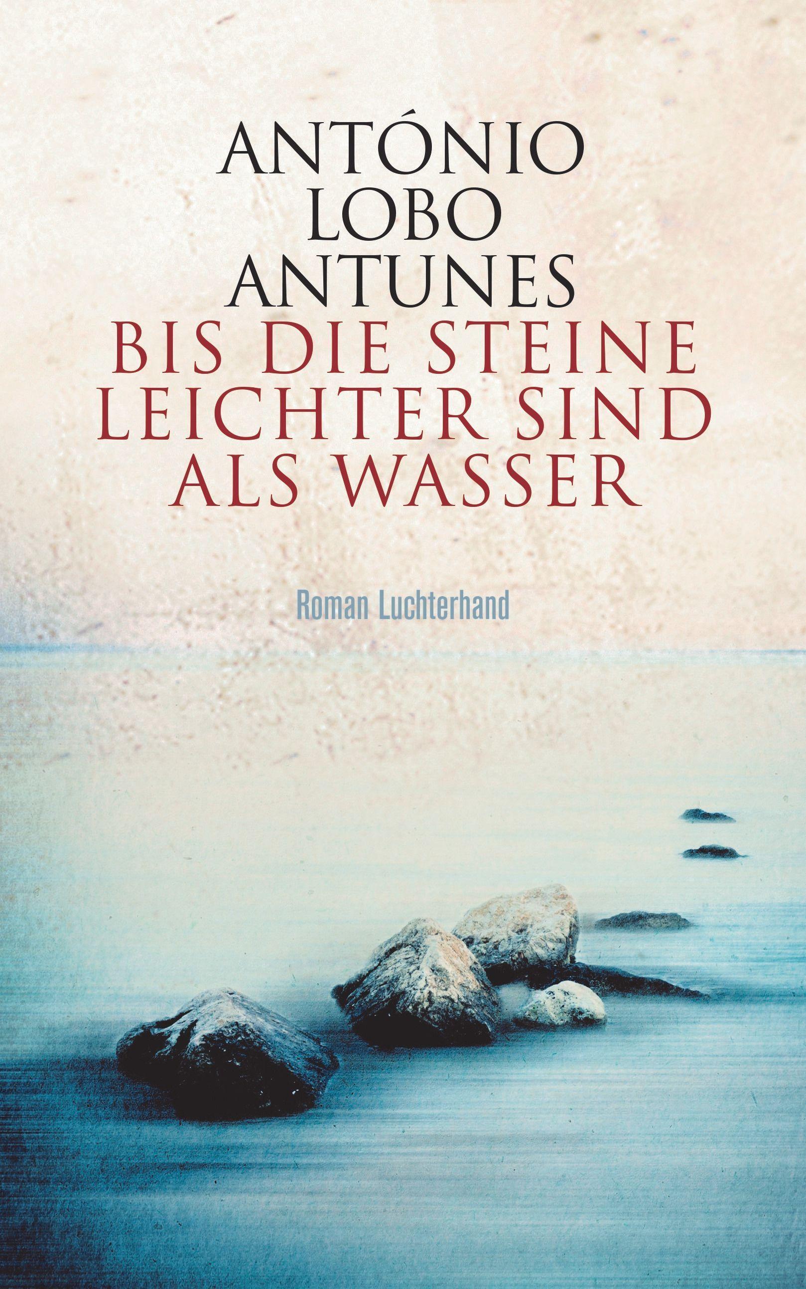 Vorderes Coverbild Bis die Steine leichter sind als Wasser