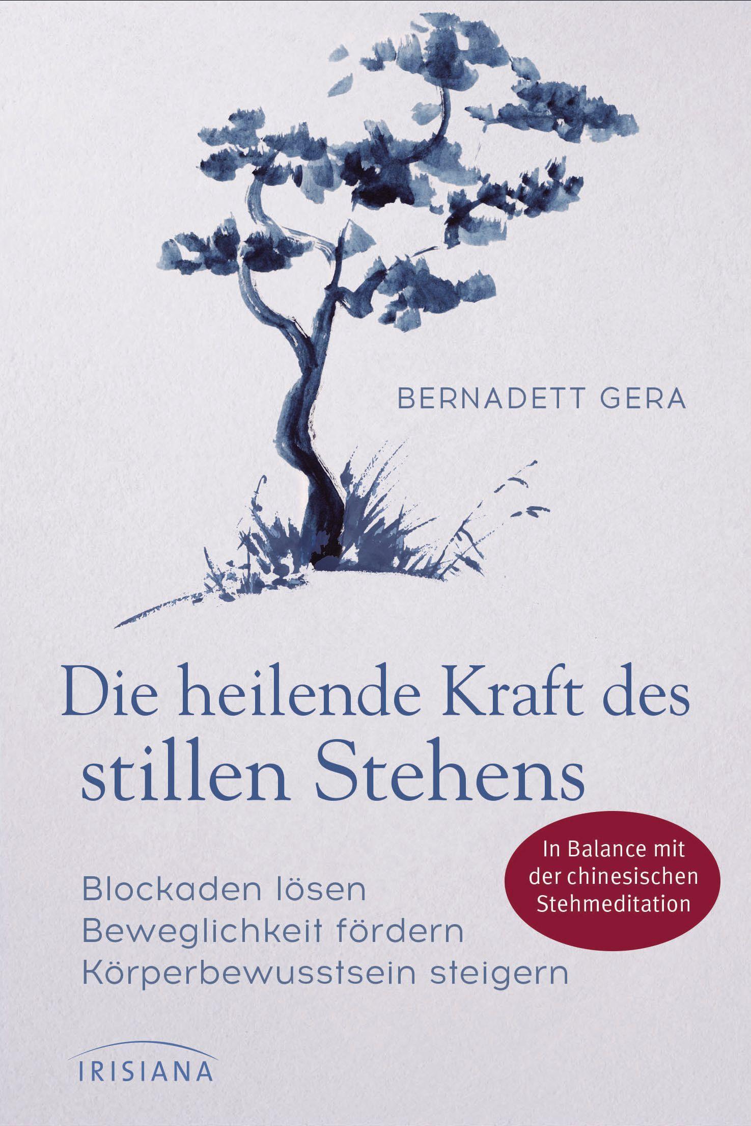 Vorderes Coverbild Die heilende Kraft des stillen Stehens