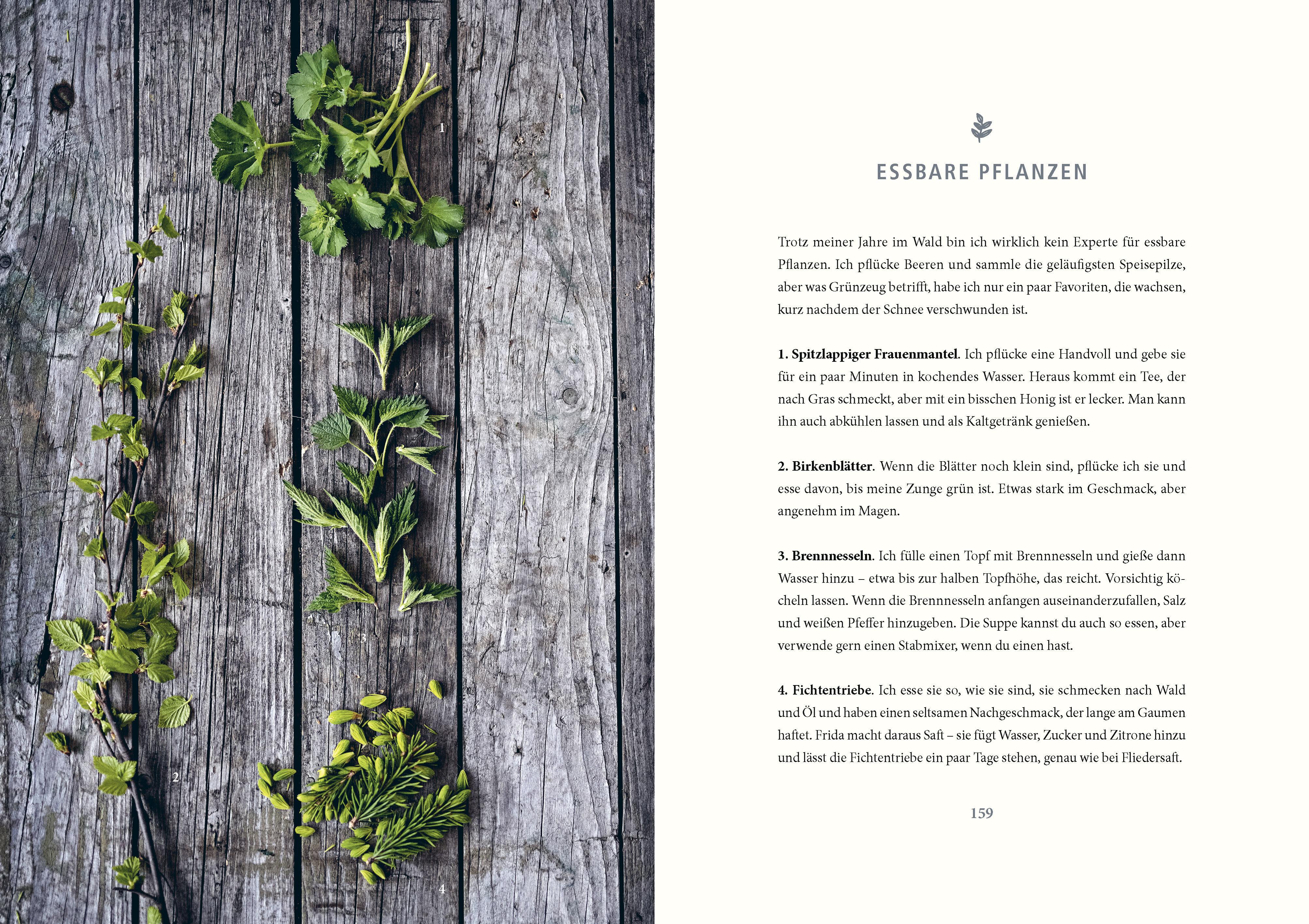 Beispielinhalt (Bild) Unter freiem Himmel