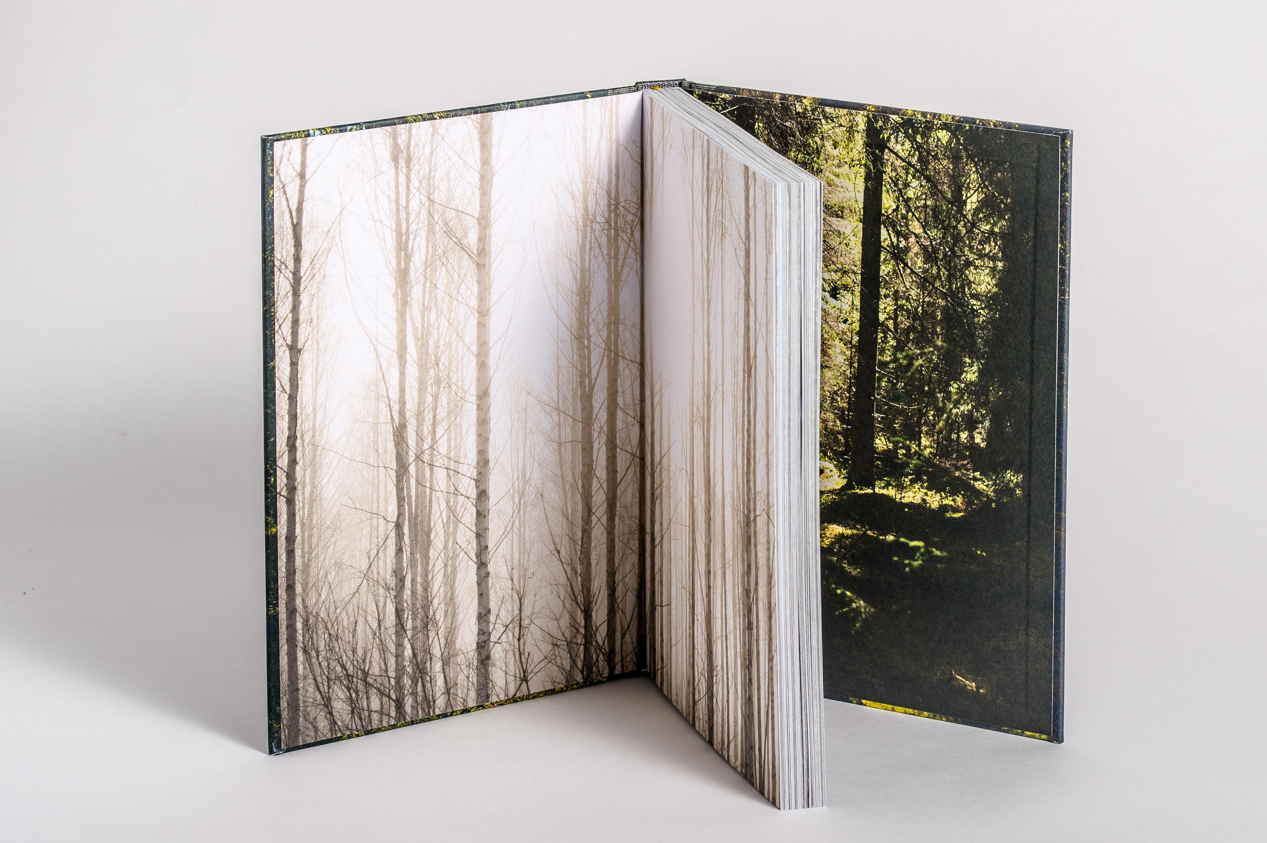 Beispielinhalt (Bild) Unter freiem Himmel