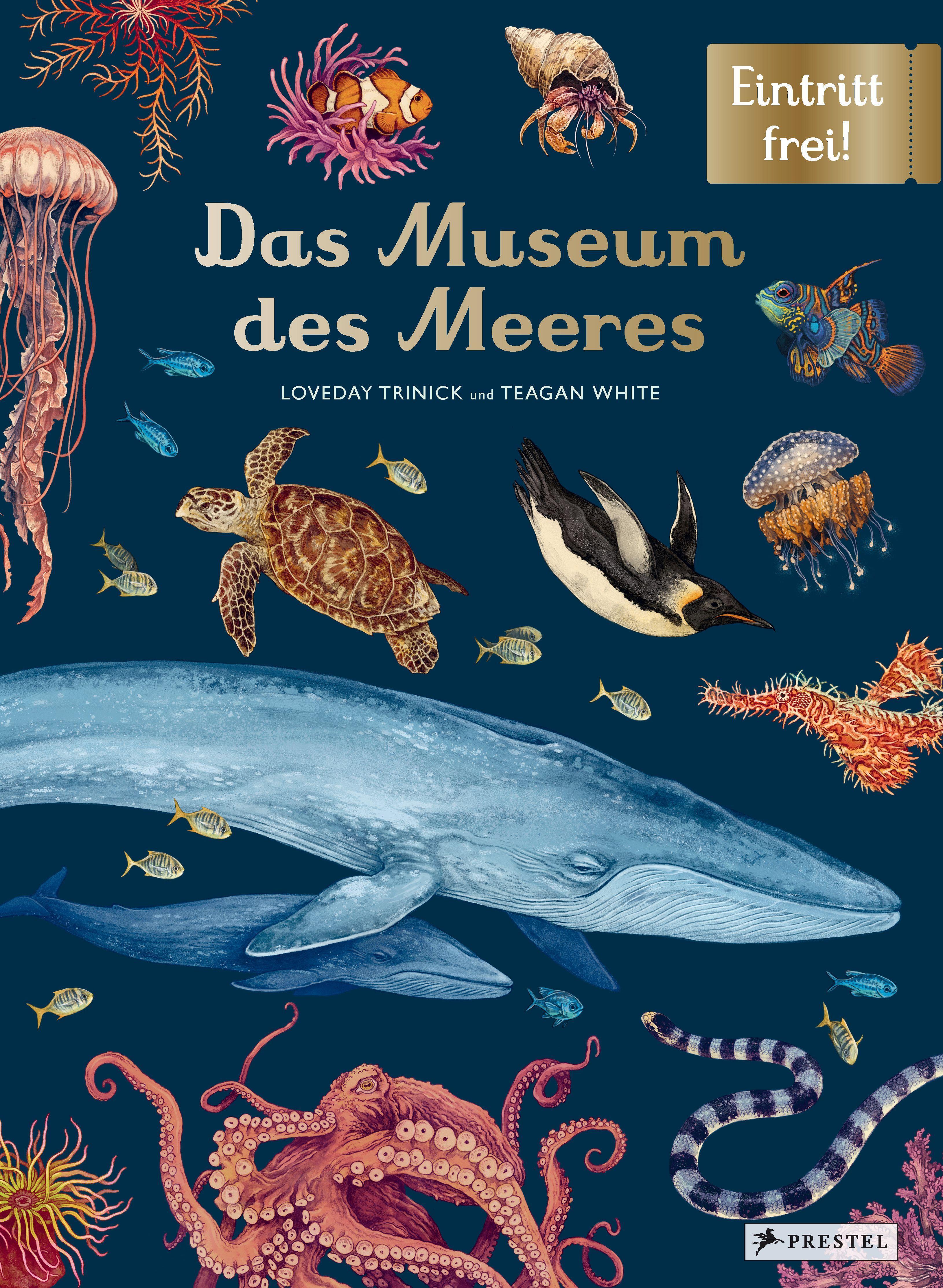 Vorderes Coverbild Das Museum des Meeres