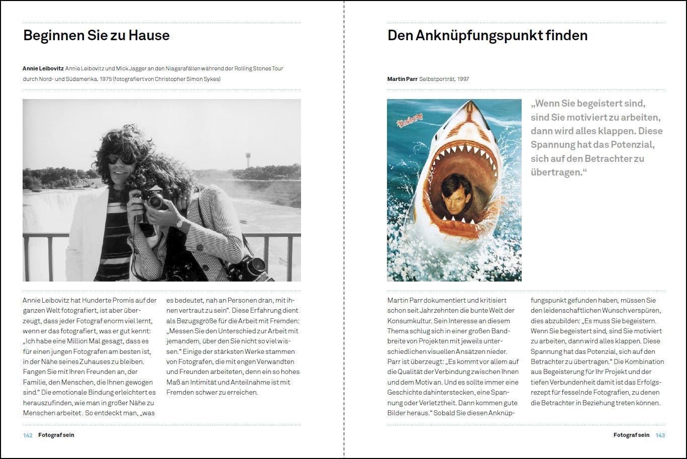 Beispielinhalt (Bild) Das perfekte Bild