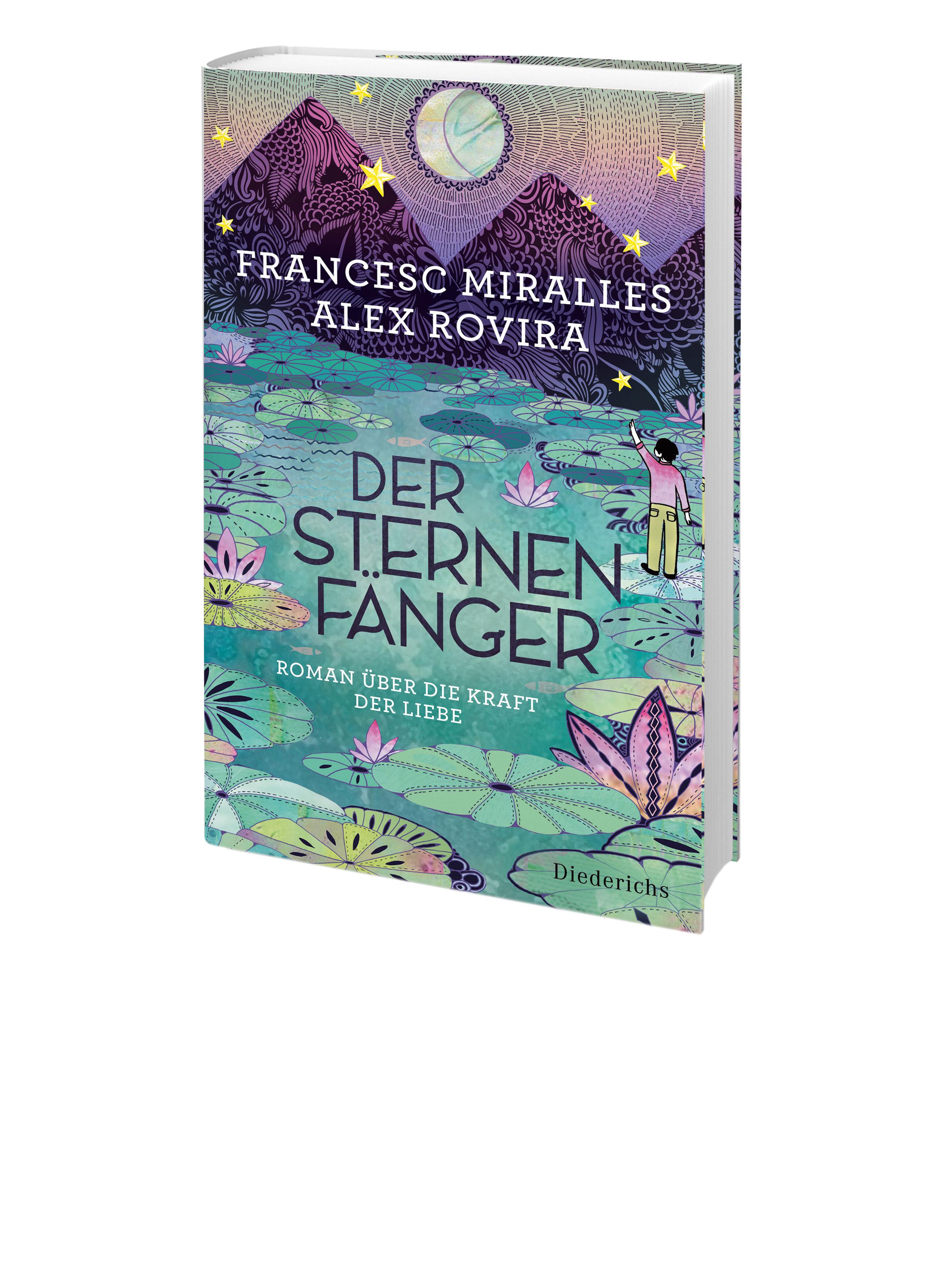 Beispielinhalt (Bild) Der Sternenfänger