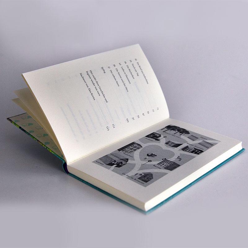 Beispielinhalt (Bild) Der Sternenfänger