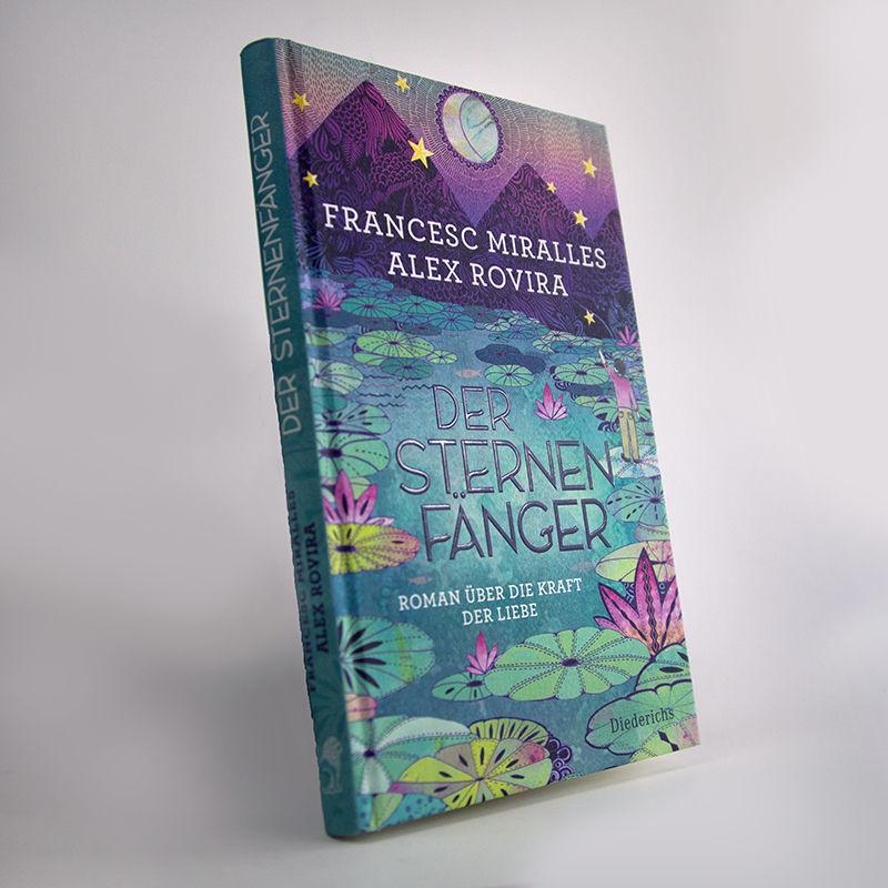 Beispielinhalt (Bild) Der Sternenfänger