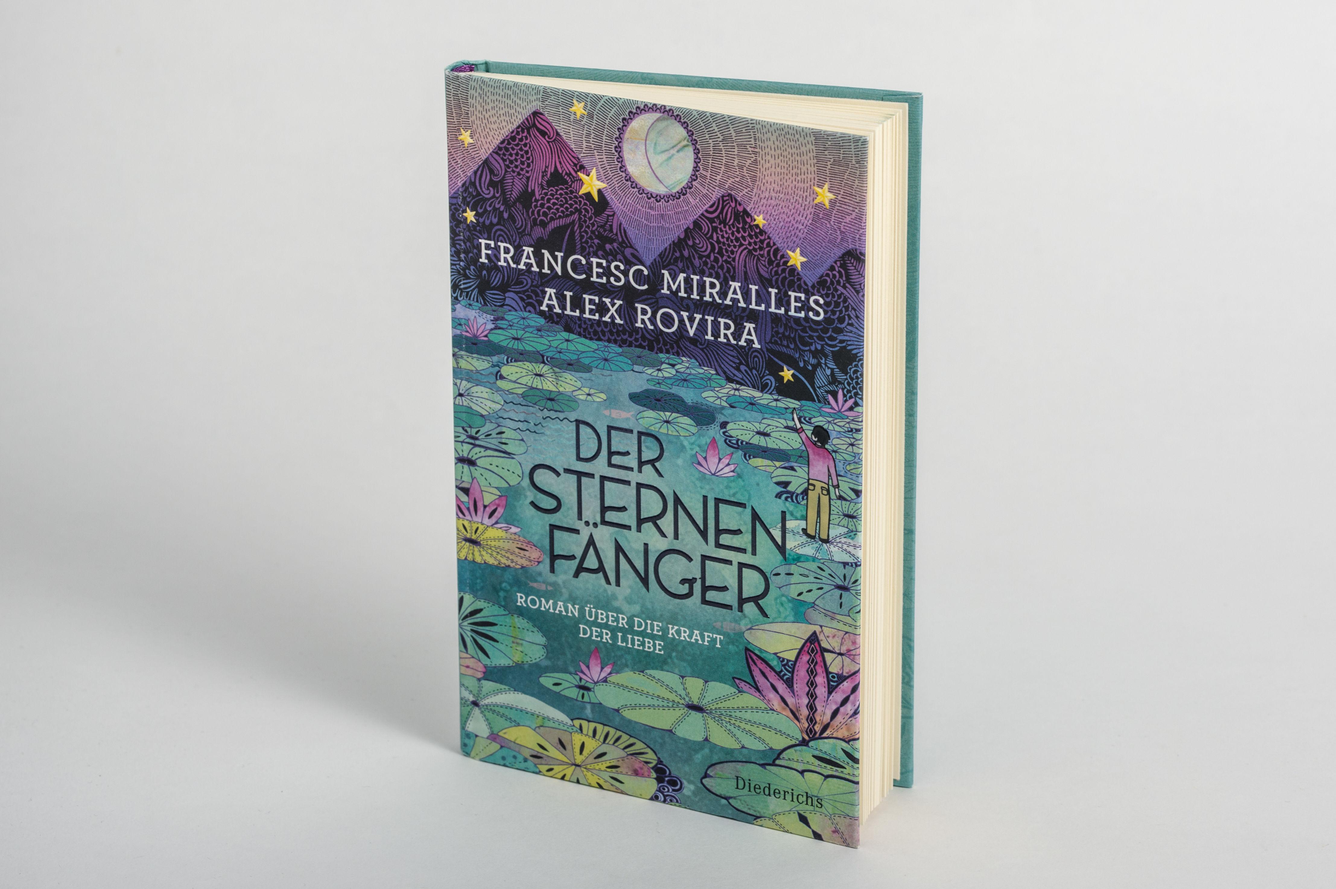 Beispielinhalt (Bild) Der Sternenfänger