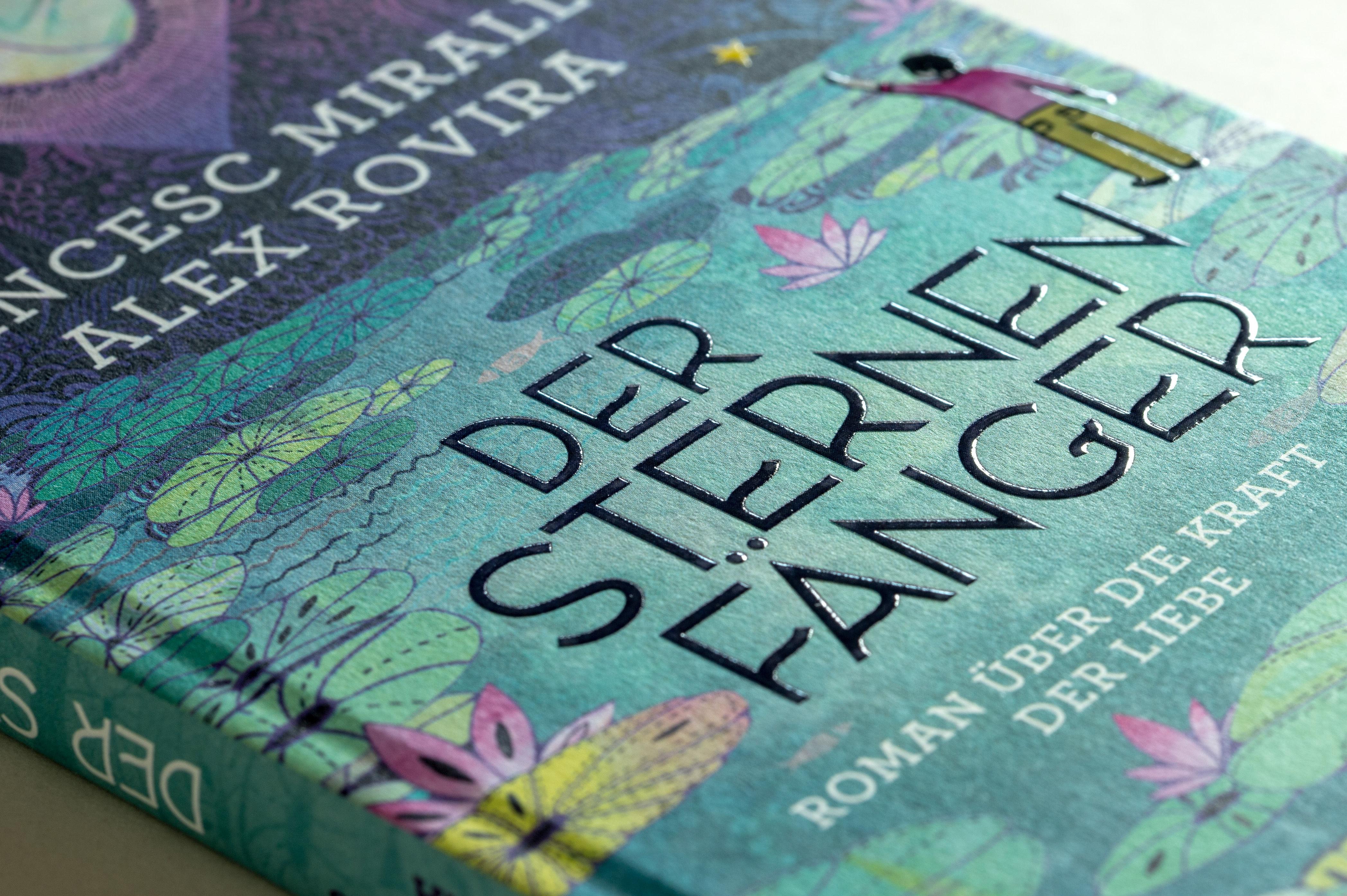 Beispielinhalt (Bild) Der Sternenfänger