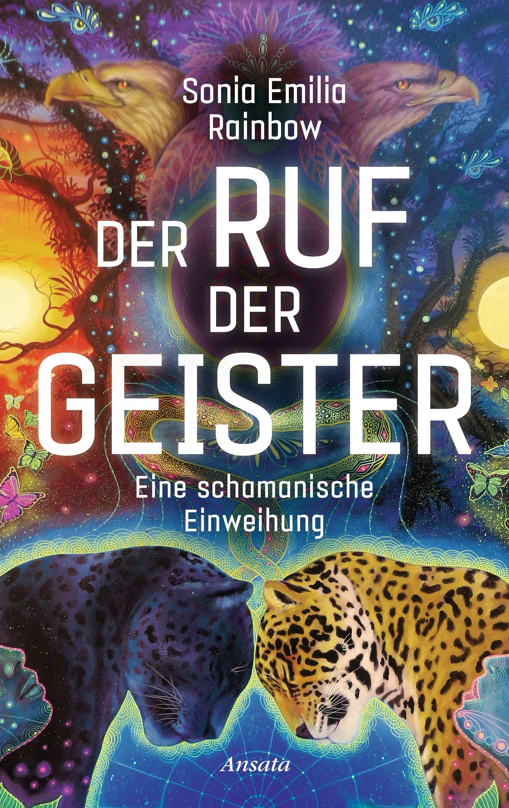 Vorderes Coverbild Der Ruf der Geister